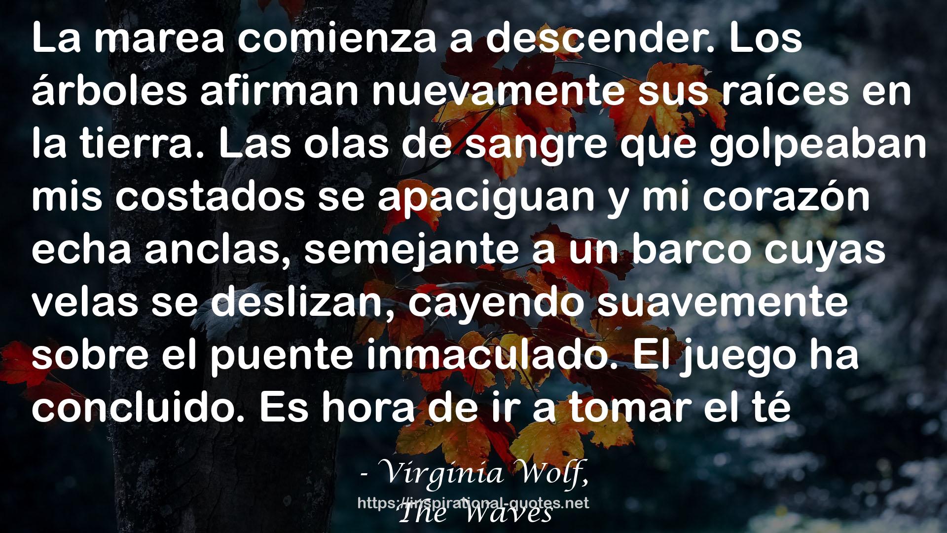 Virginia Wolf, QUOTES