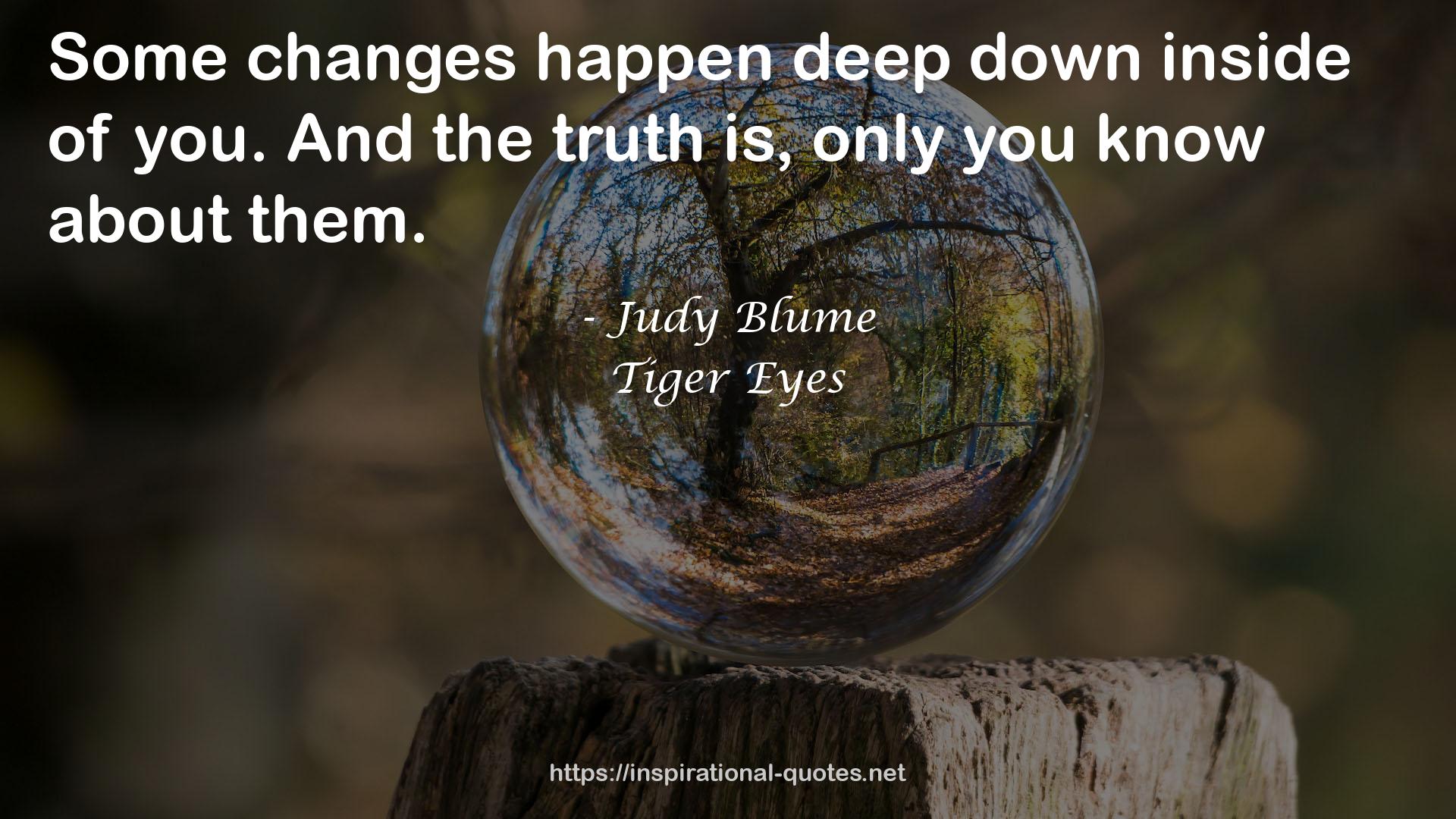 Tiger Eyes QUOTES