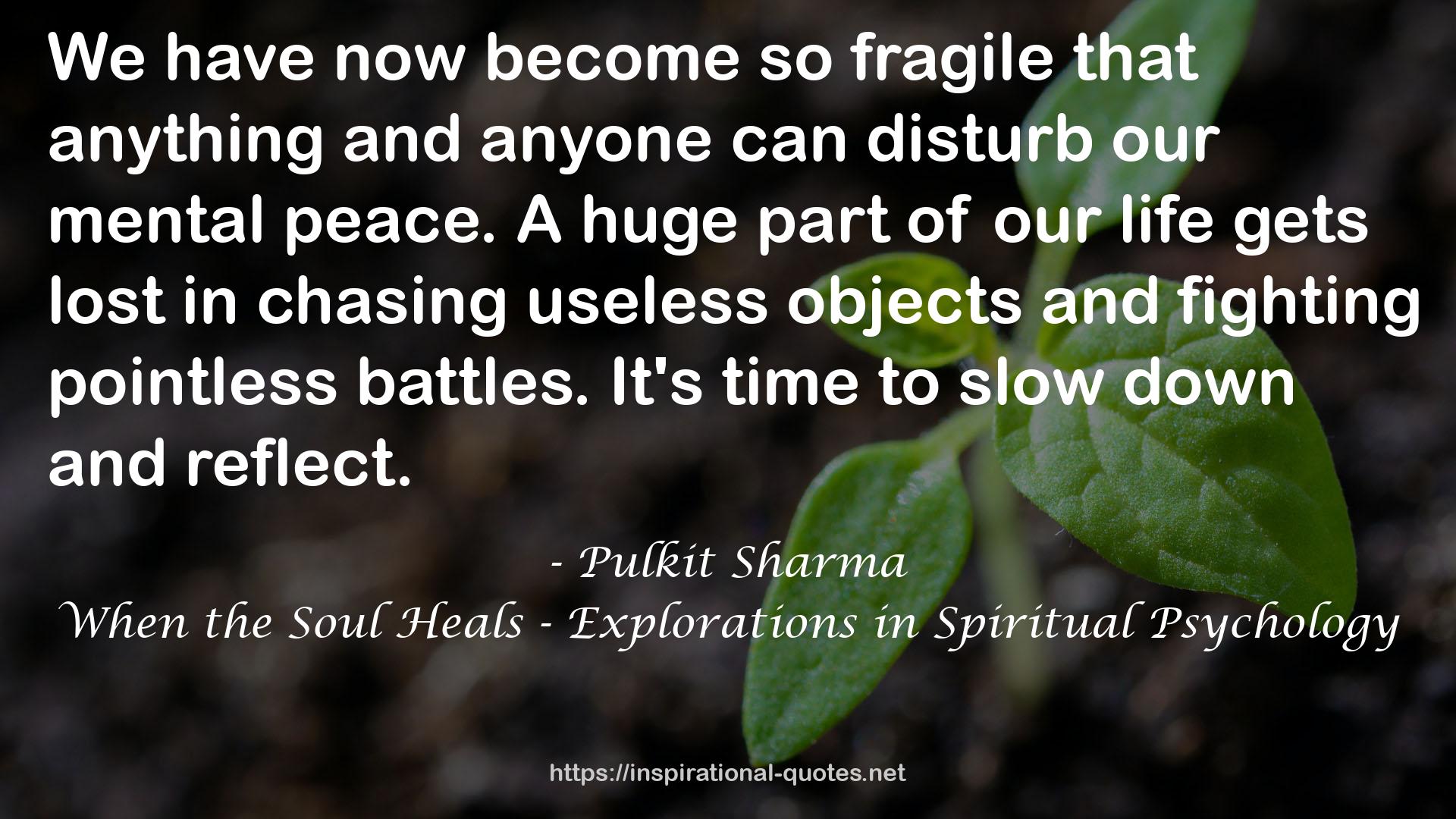 When the Soul Heals - Explorations in Spiritual Psychology QUOTES