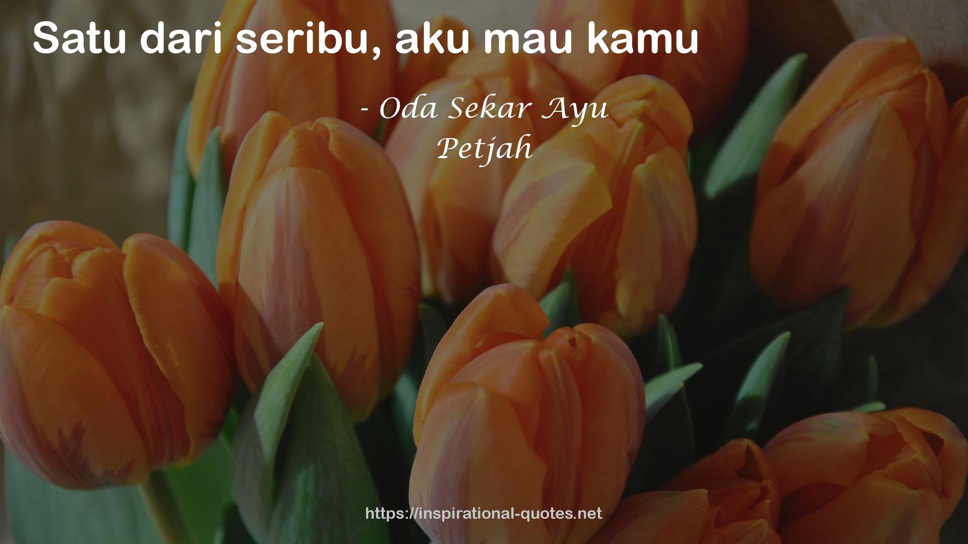 Petjah QUOTES