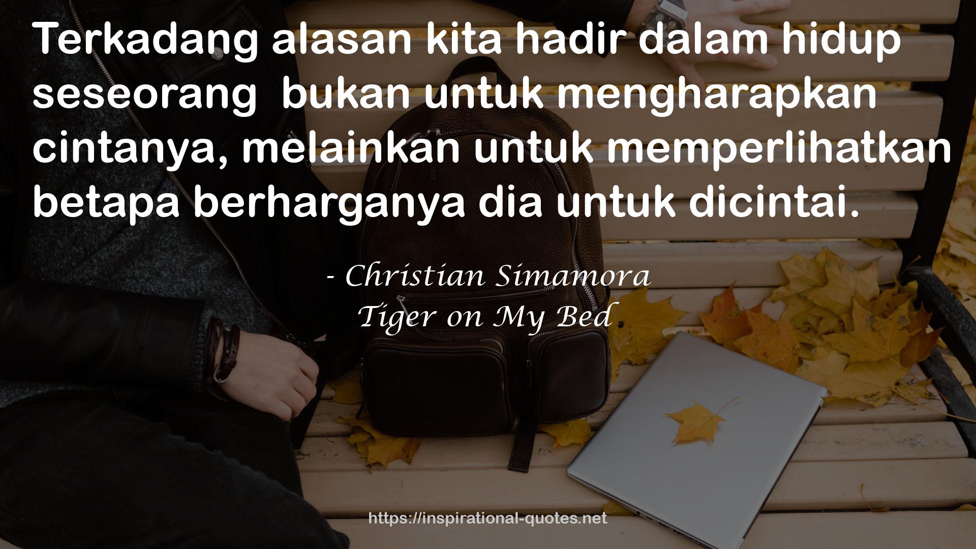 Tiger on My Bed QUOTES