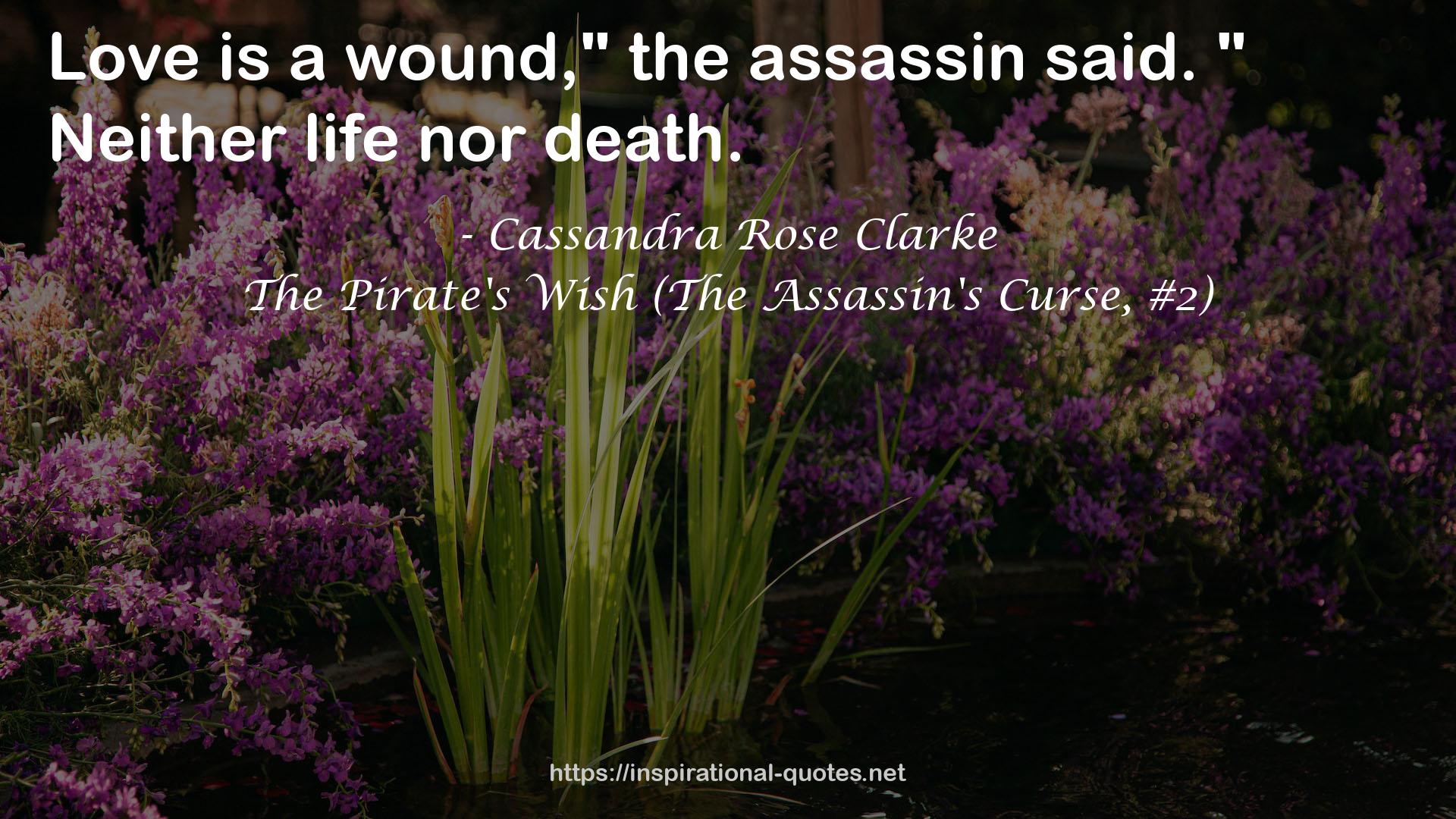 The Pirate's Wish (The Assassin's Curse, #2) QUOTES