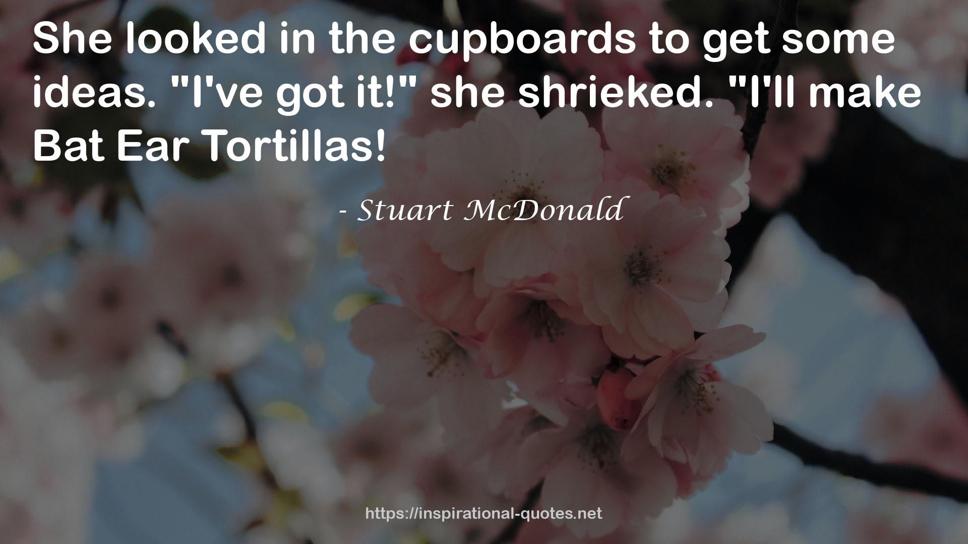 Stuart McDonald QUOTES