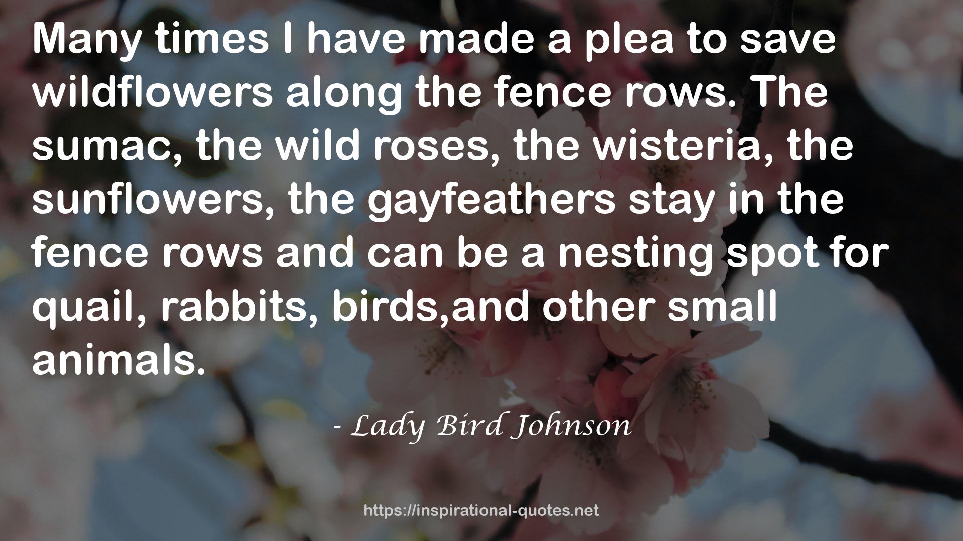 Lady Bird Johnson QUOTES