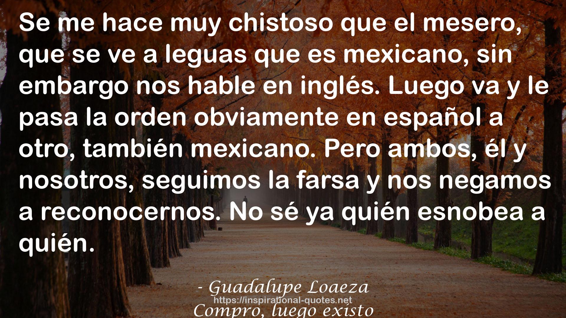 Guadalupe Loaeza QUOTES