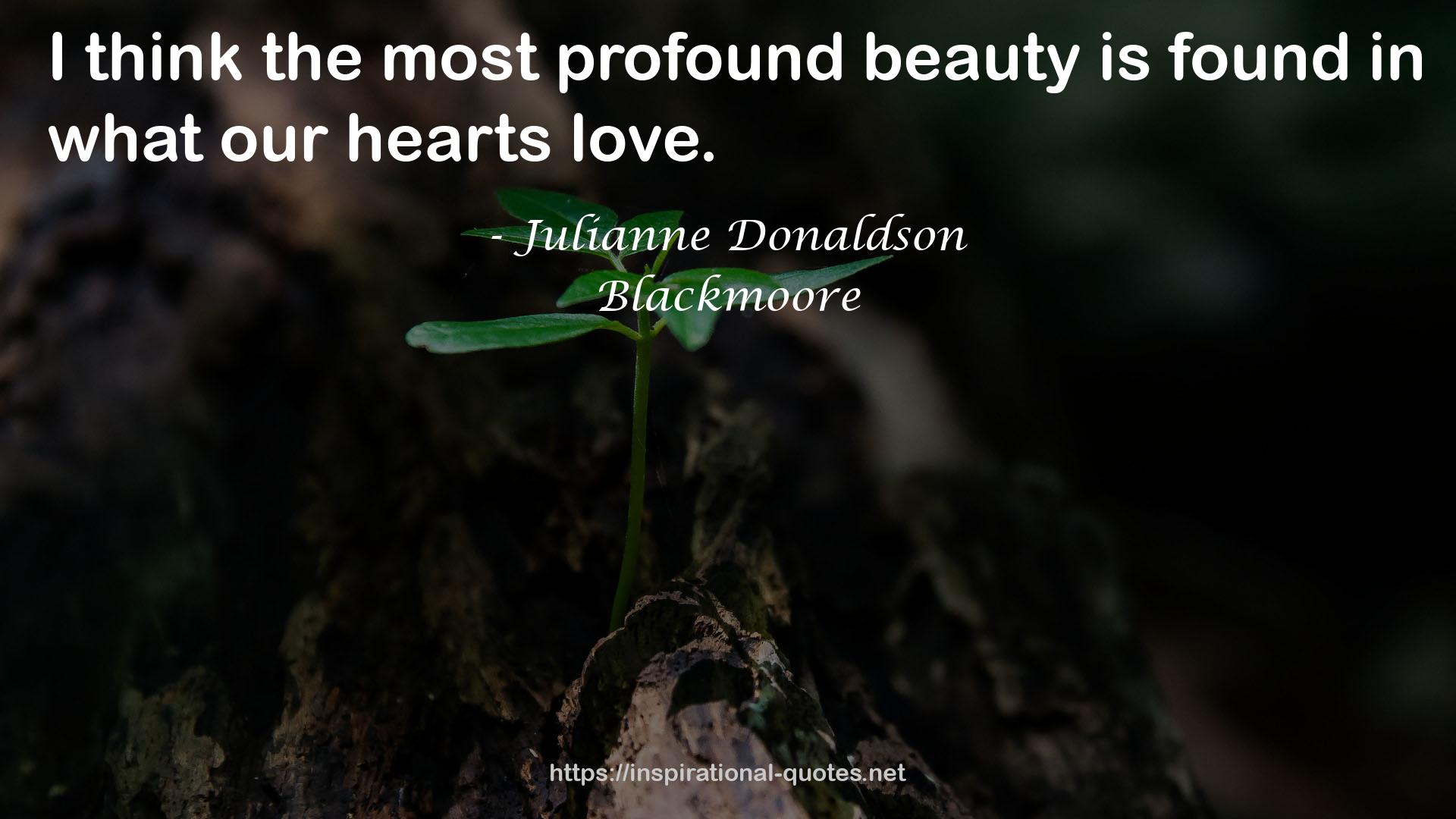 the most profound beauty  QUOTES