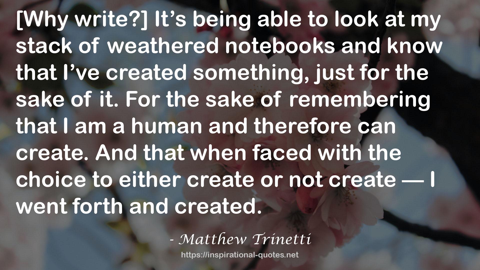 Matthew Trinetti QUOTES