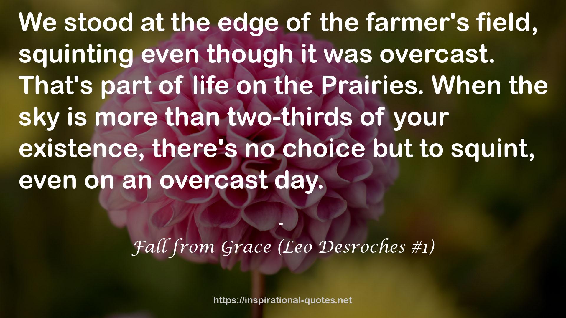 Fall from Grace (Leo Desroches #1) QUOTES