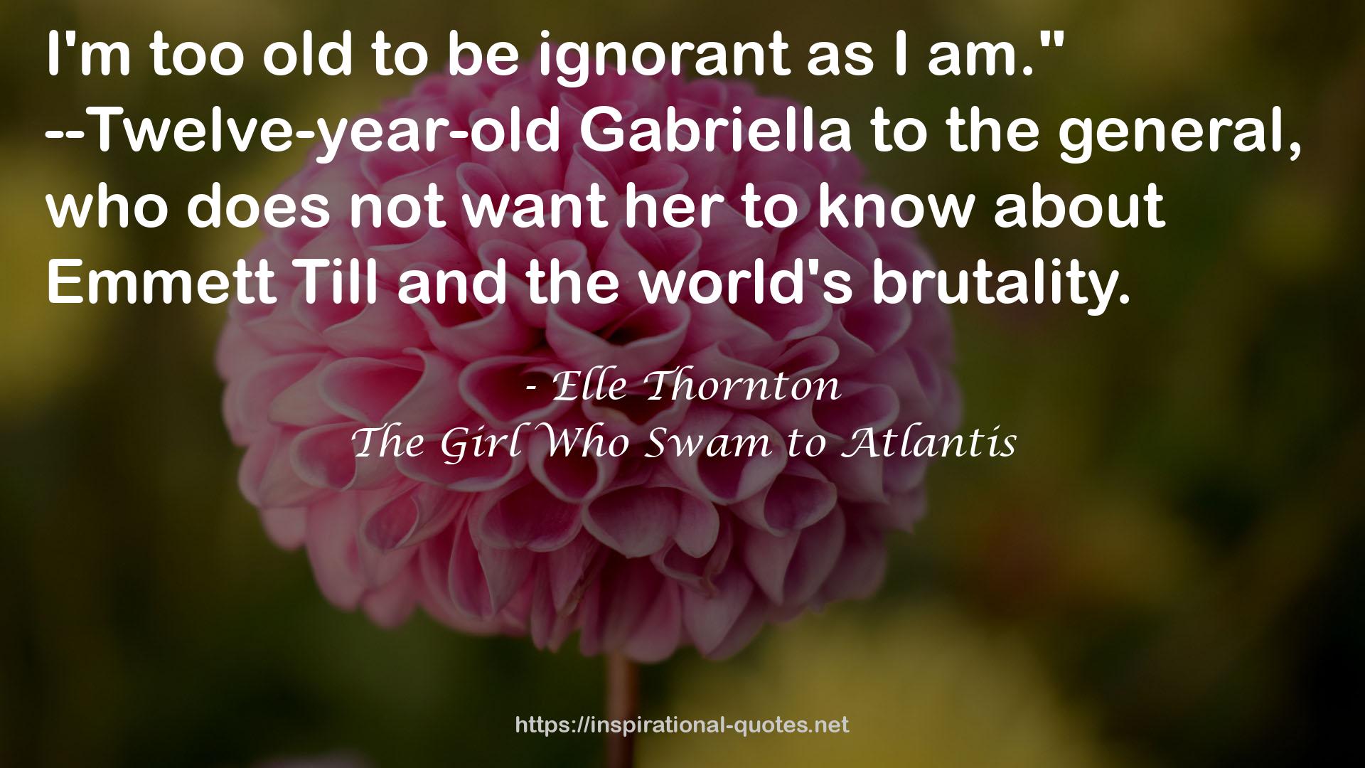 Elle Thornton QUOTES