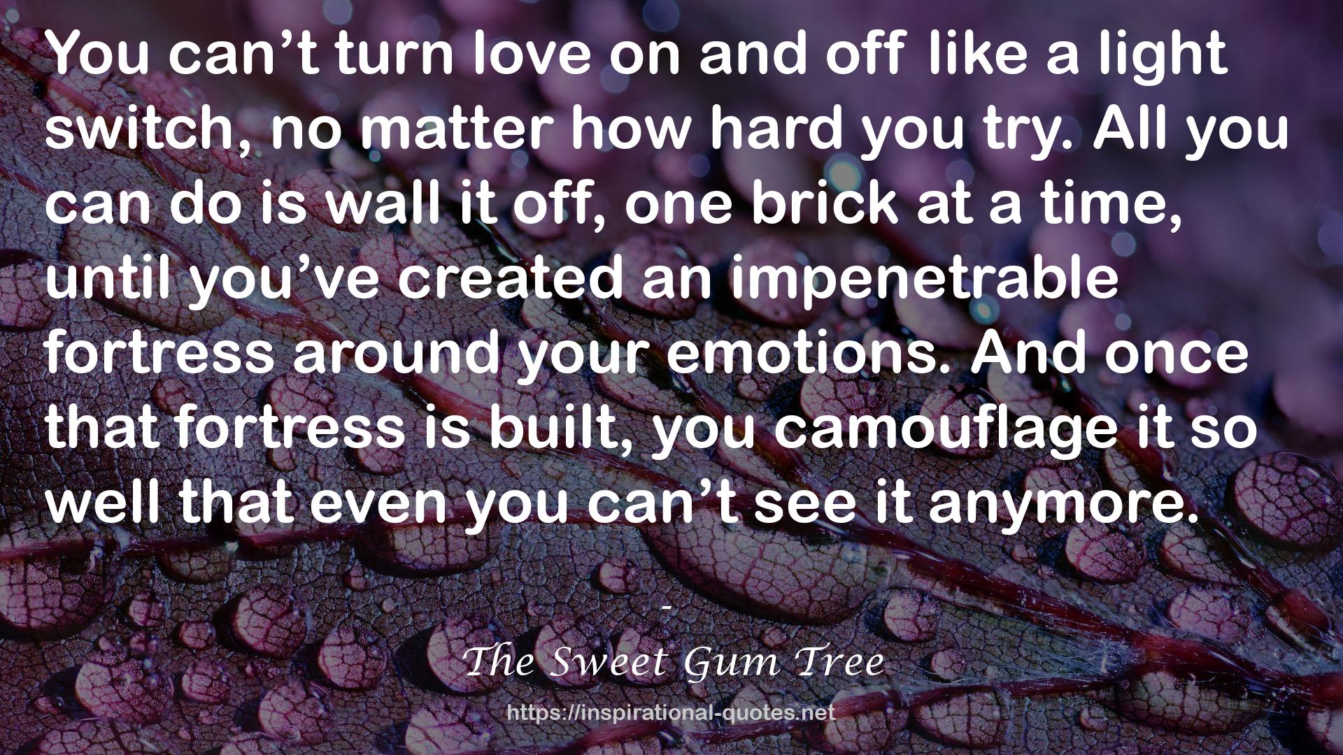 The Sweet Gum Tree QUOTES