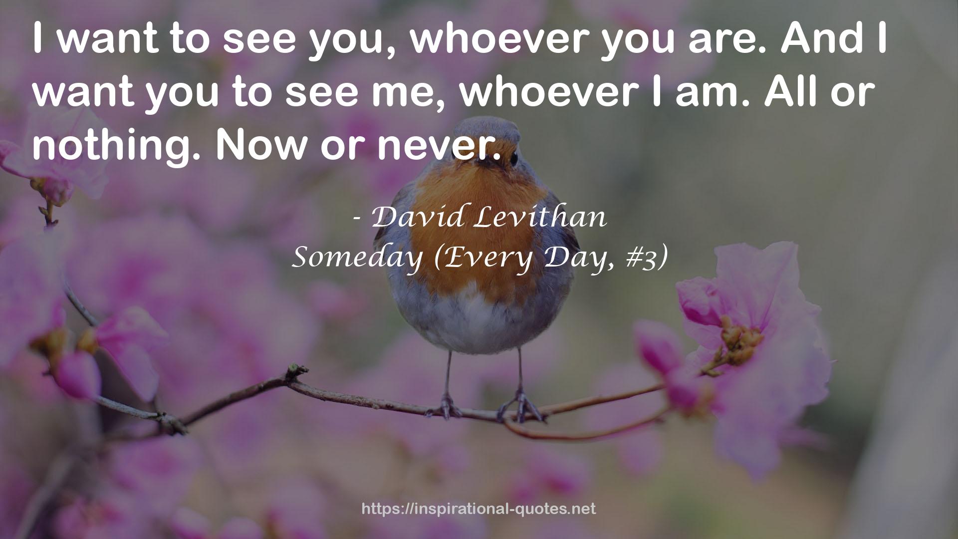 Someday (Every Day, #3) QUOTES
