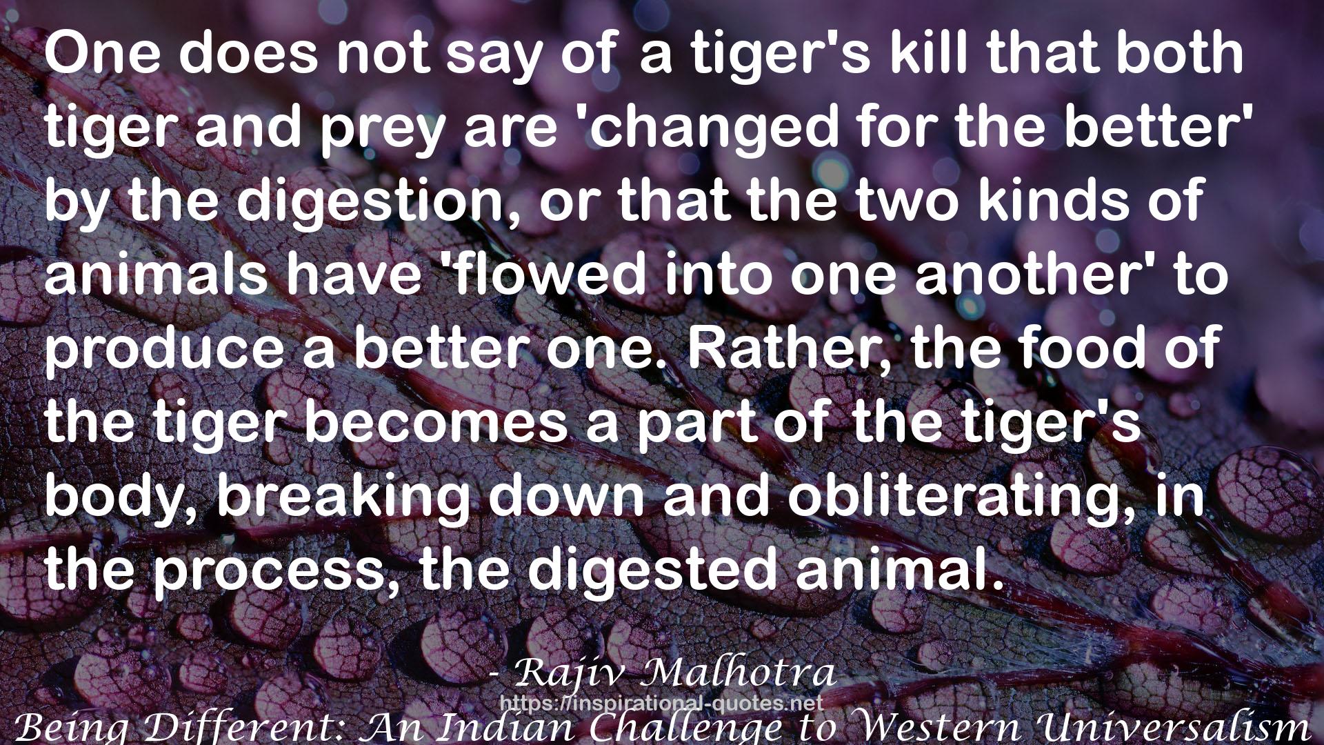 Rajiv Malhotra QUOTES