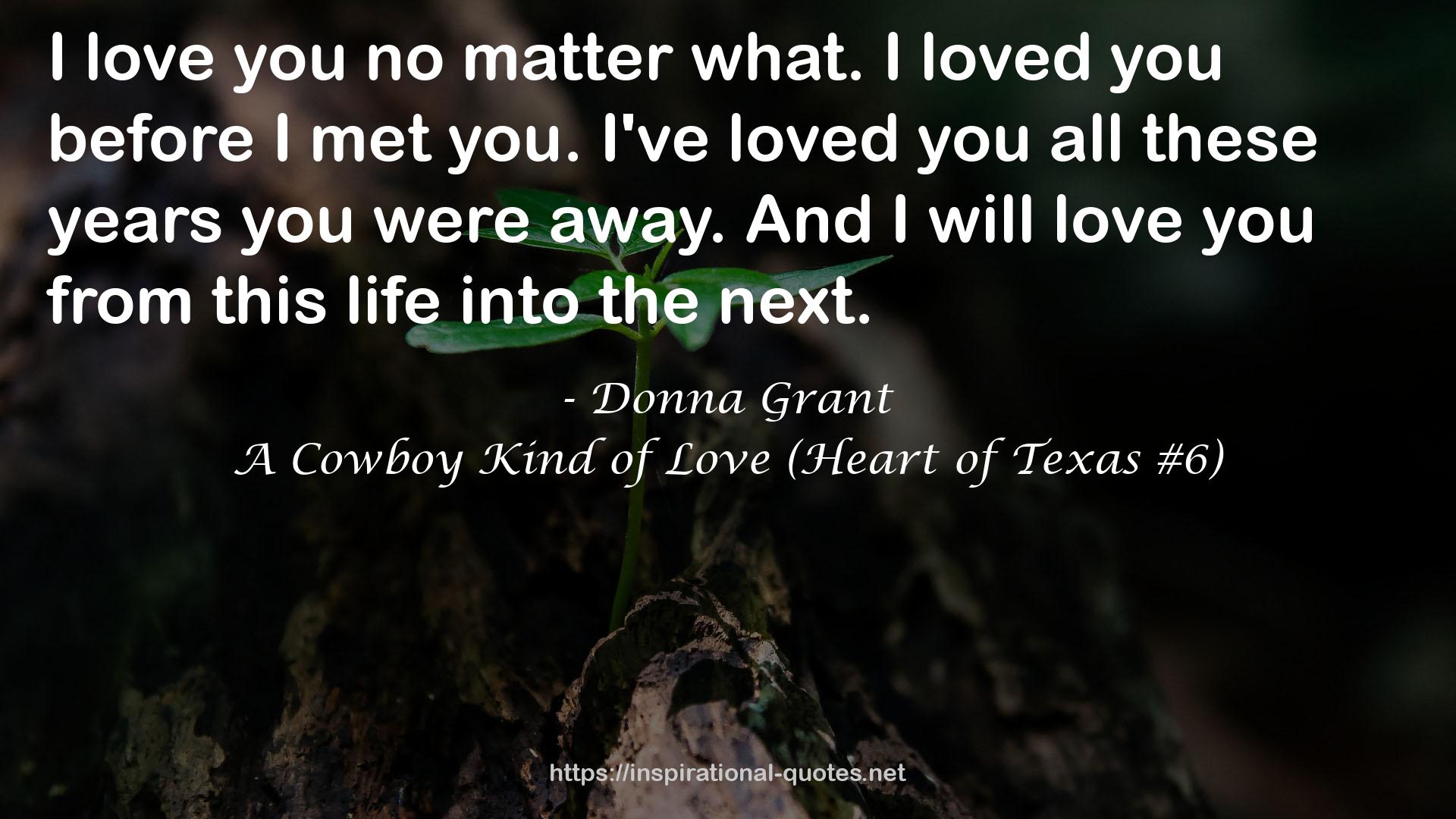 A Cowboy Kind of Love (Heart of Texas #6) QUOTES