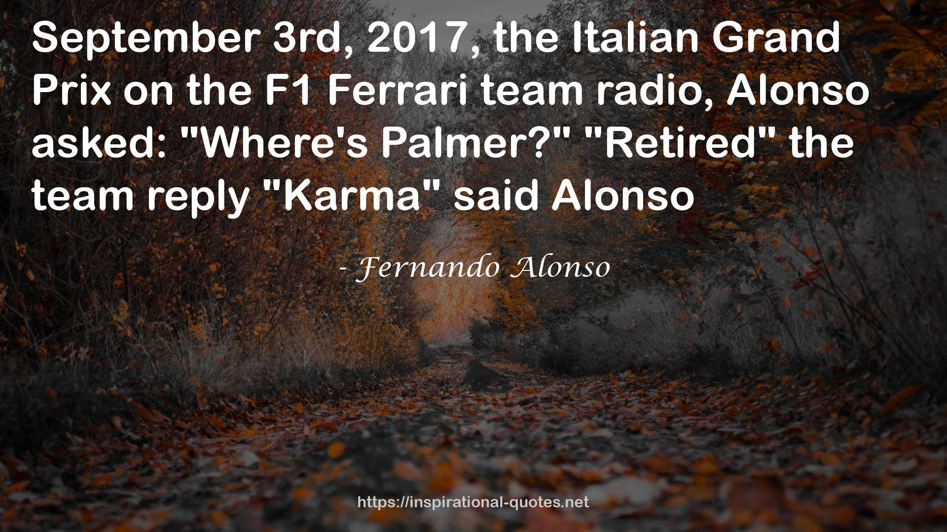 Fernando Alonso QUOTES