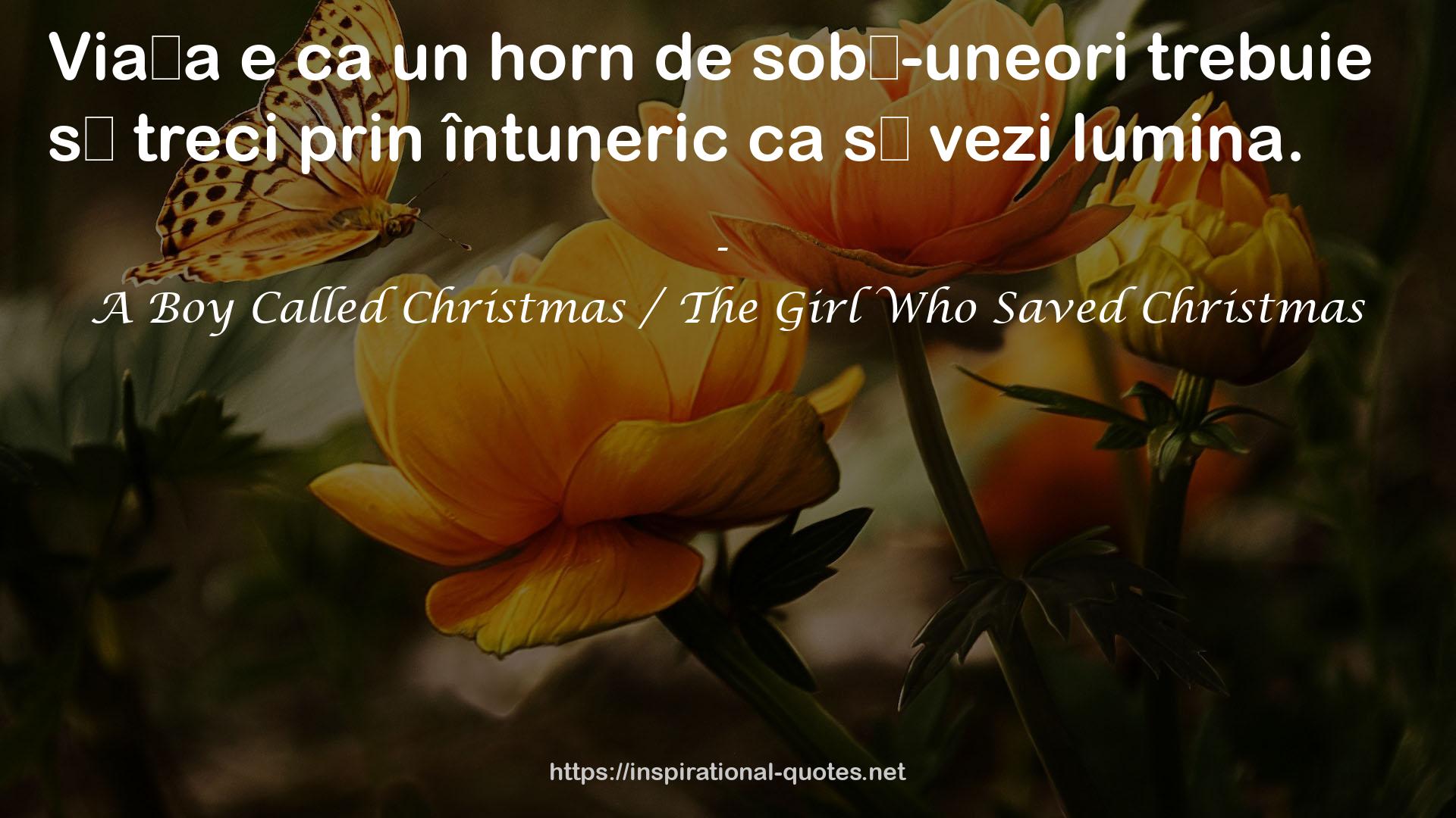 A Boy Called Christmas / The Girl Who Saved Christmas QUOTES