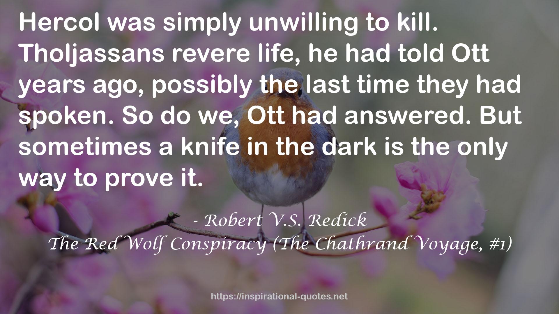 Robert V.S. Redick QUOTES