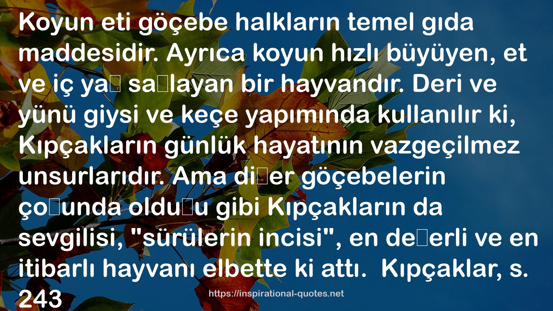 Kıpçaklar QUOTES