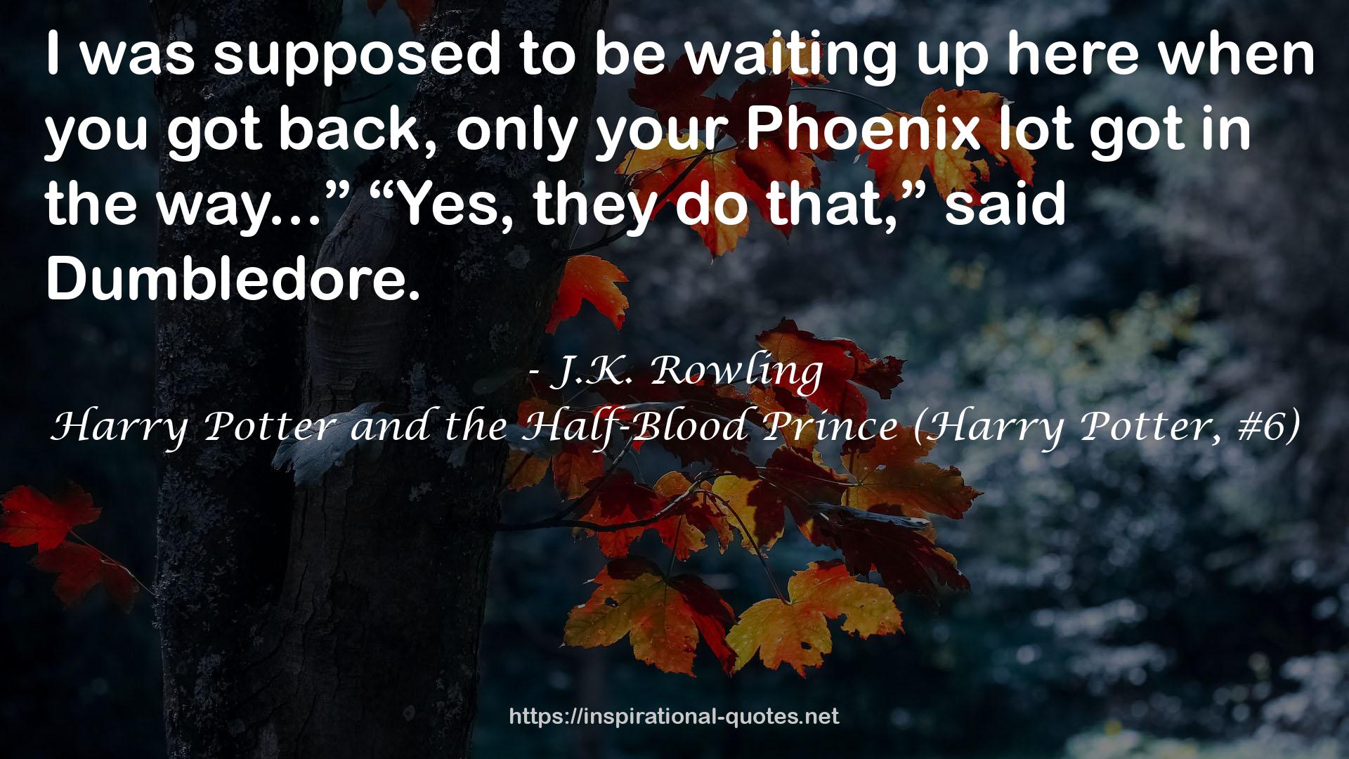 phoenix  QUOTES