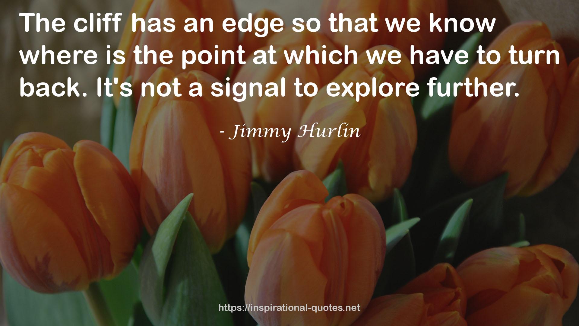 Jimmy Hurlin QUOTES