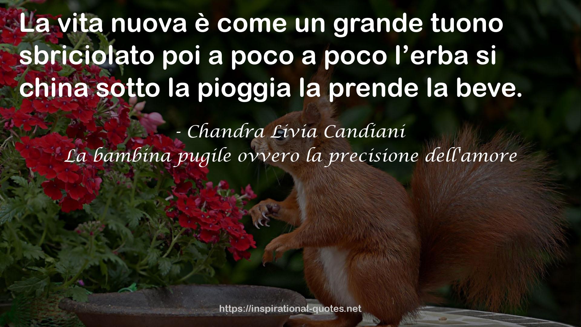 La bambina pugile ovvero la precisione dell'amore QUOTES