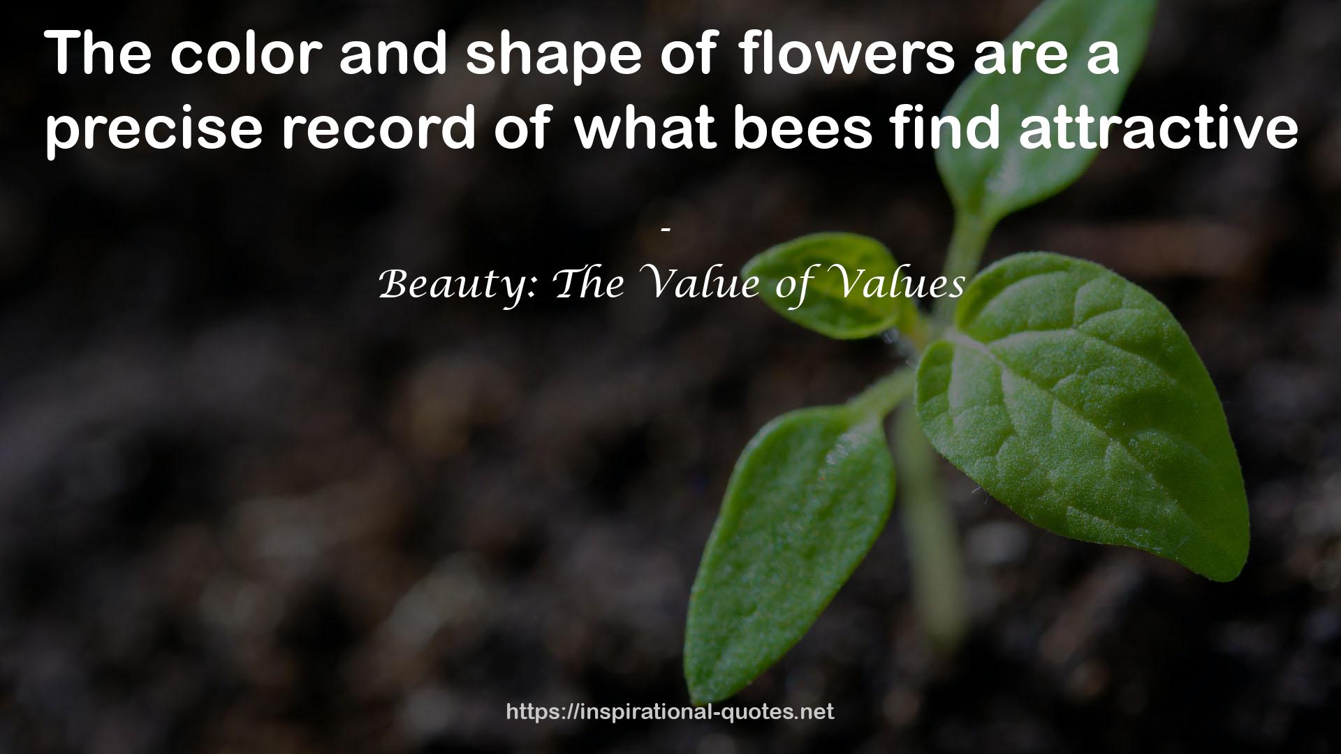 Beauty: The Value of Values QUOTES