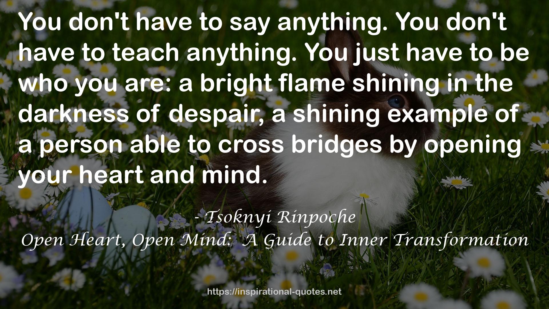 Open Heart, Open Mind:  A Guide to Inner Transformation QUOTES