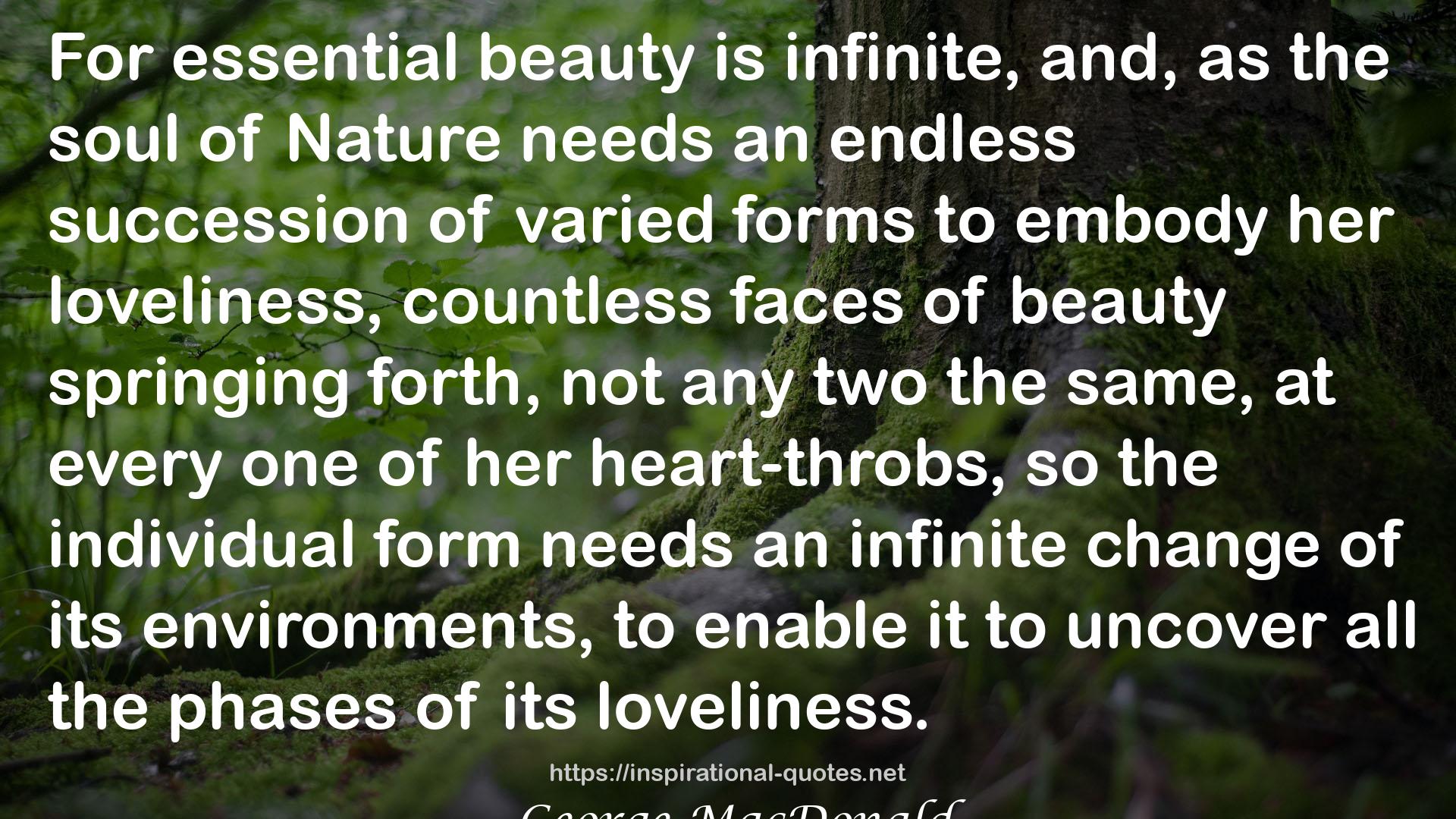 essential beauty  QUOTES