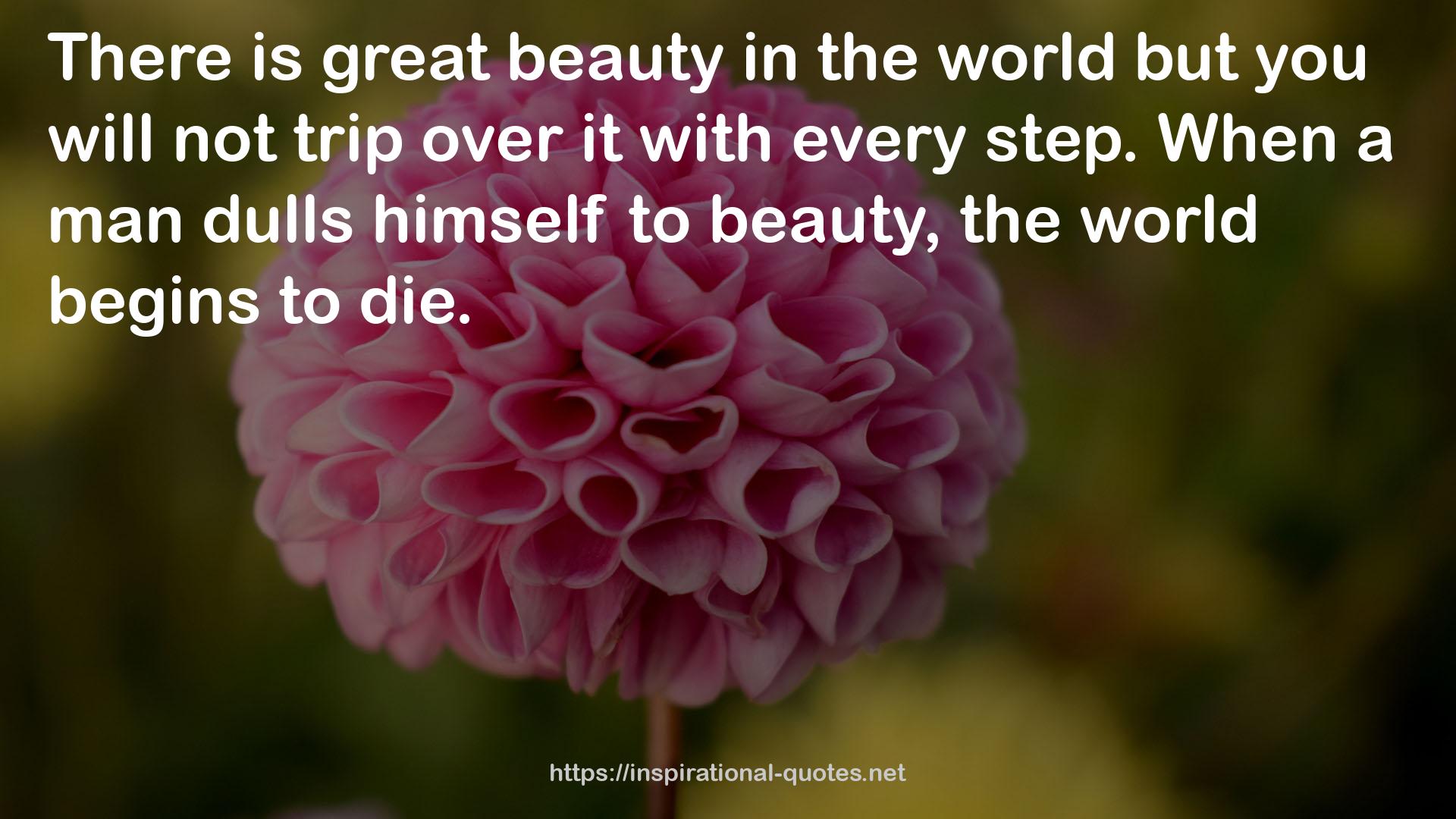 great beauty  QUOTES