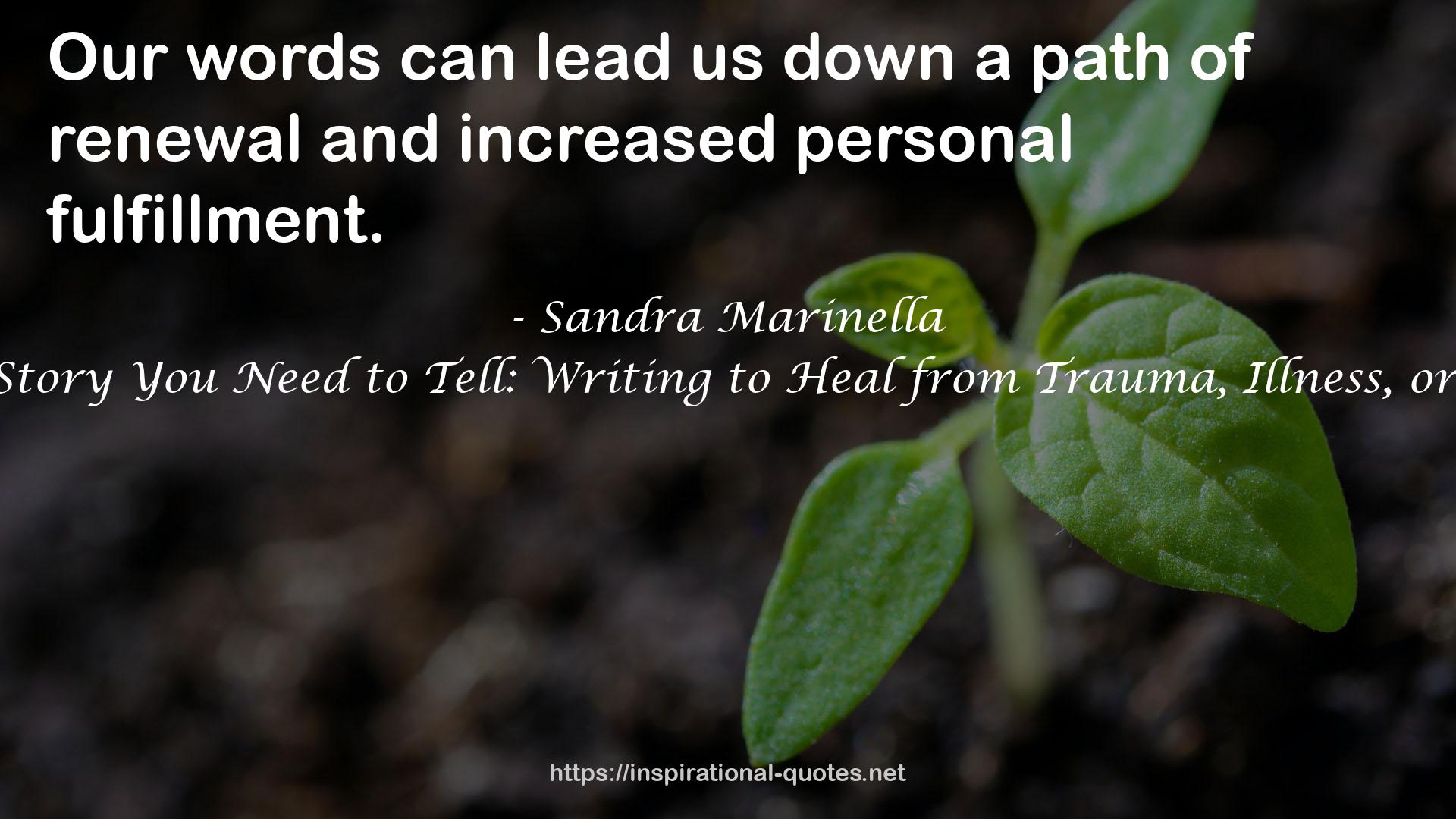 Sandra Marinella QUOTES