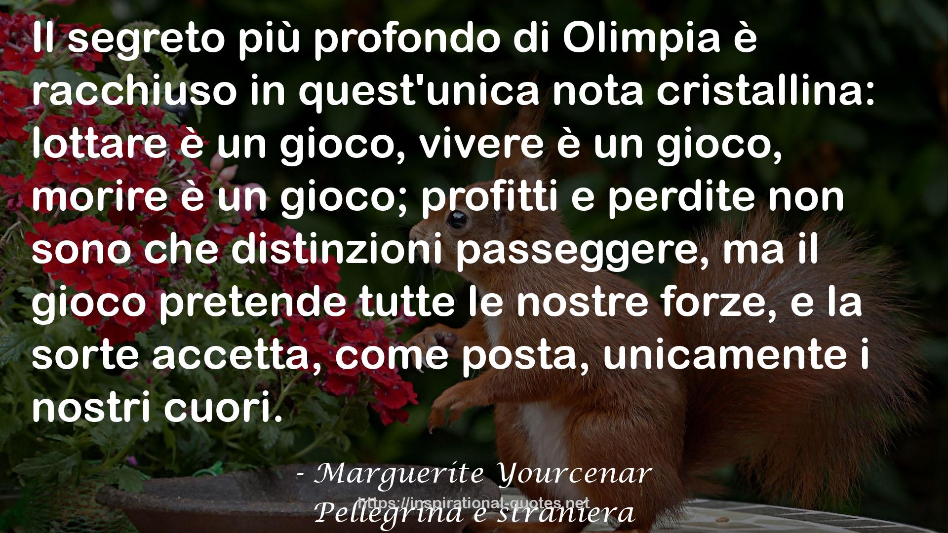 Pellegrina e straniera QUOTES