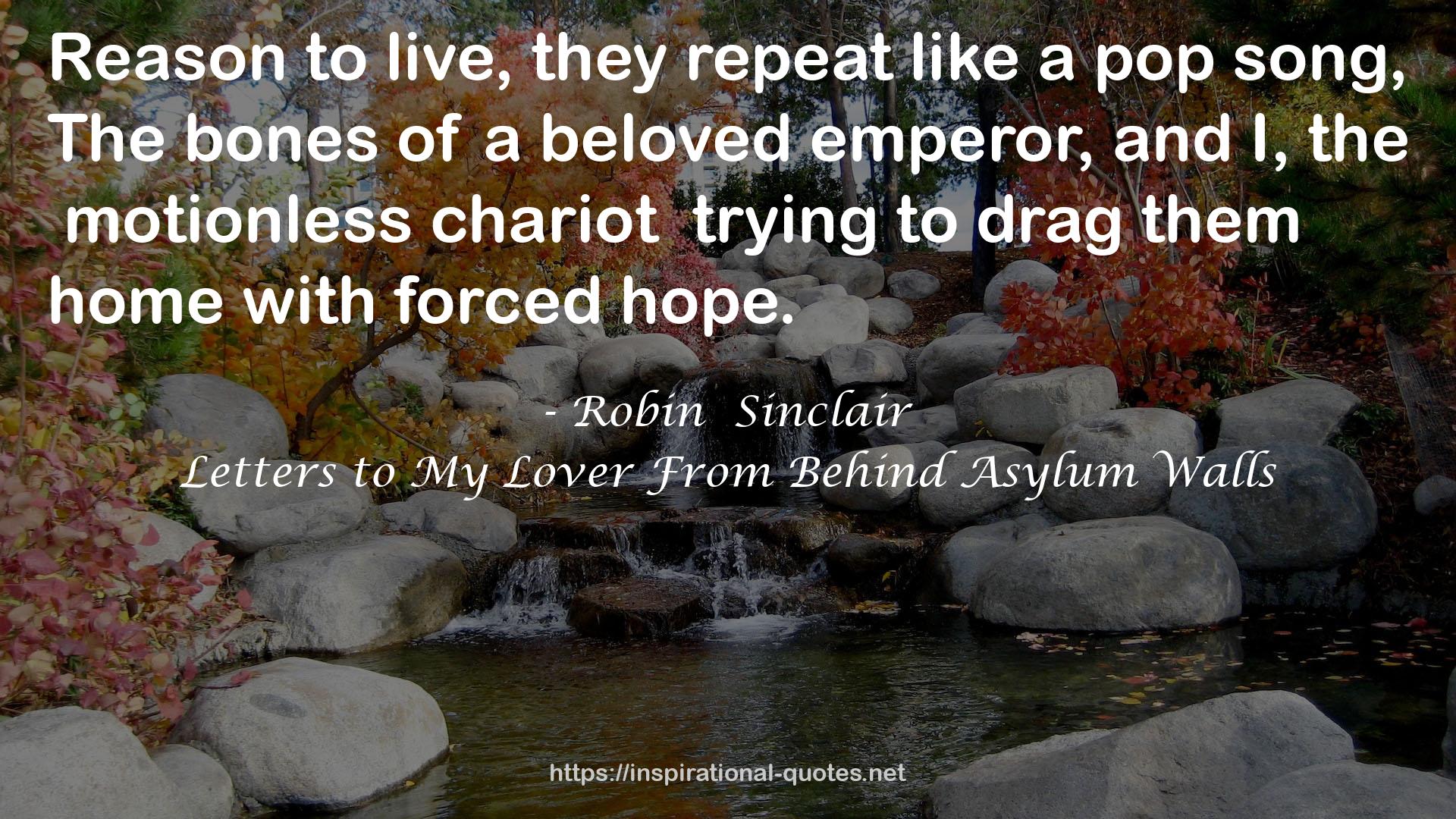 Robin  Sinclair QUOTES