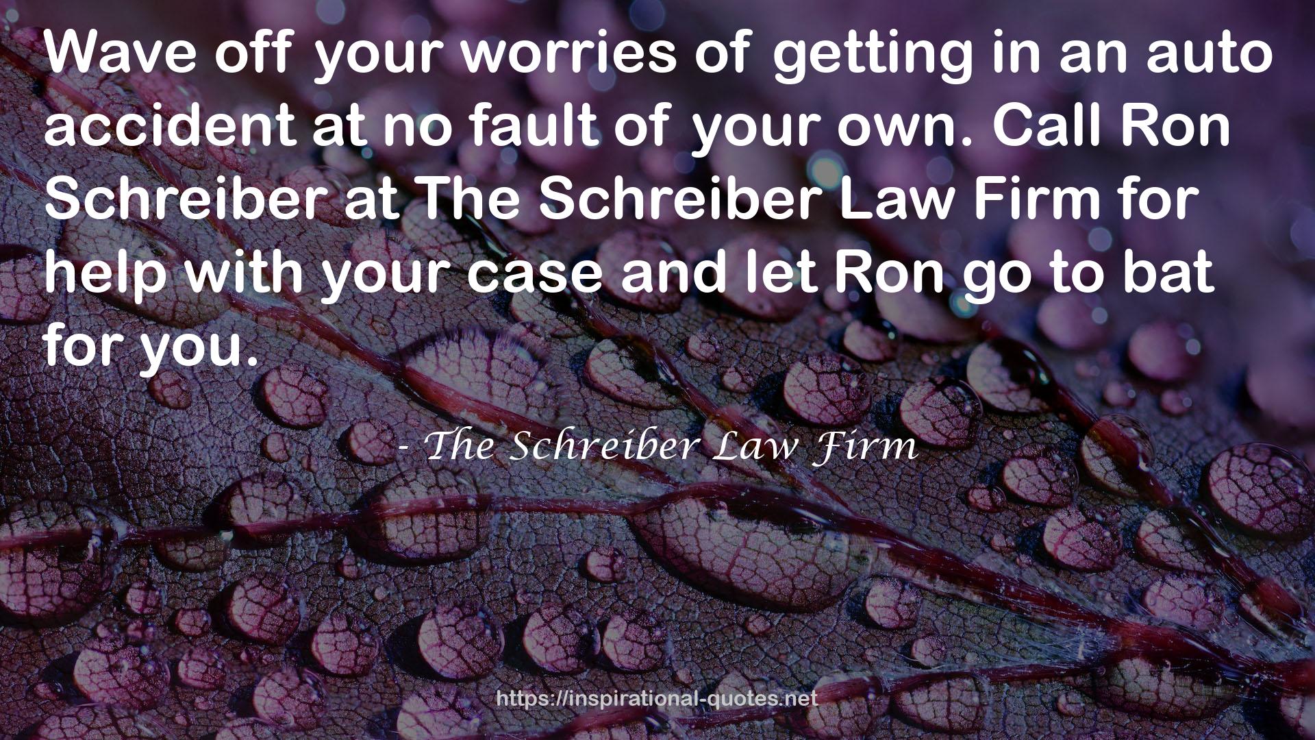 The Schreiber Law Firm QUOTES