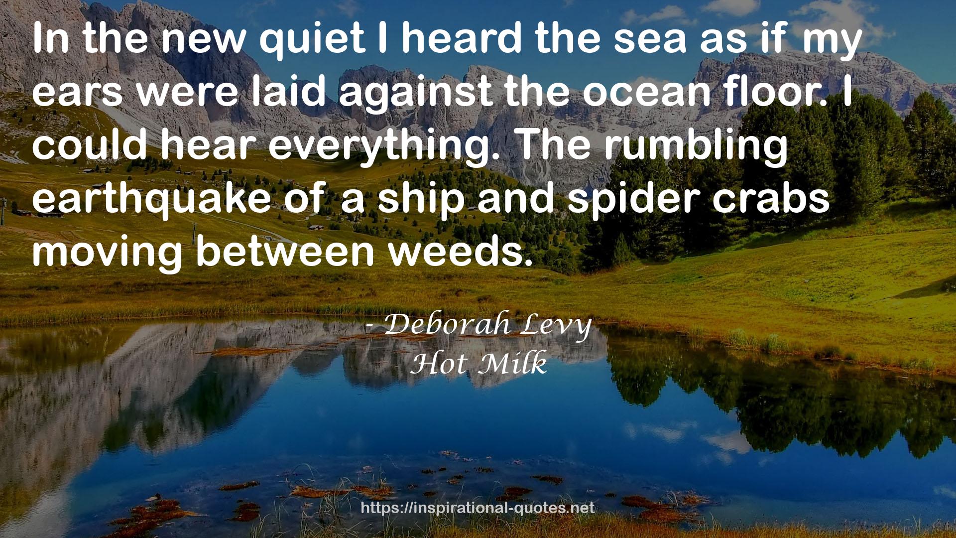 Deborah Levy QUOTES