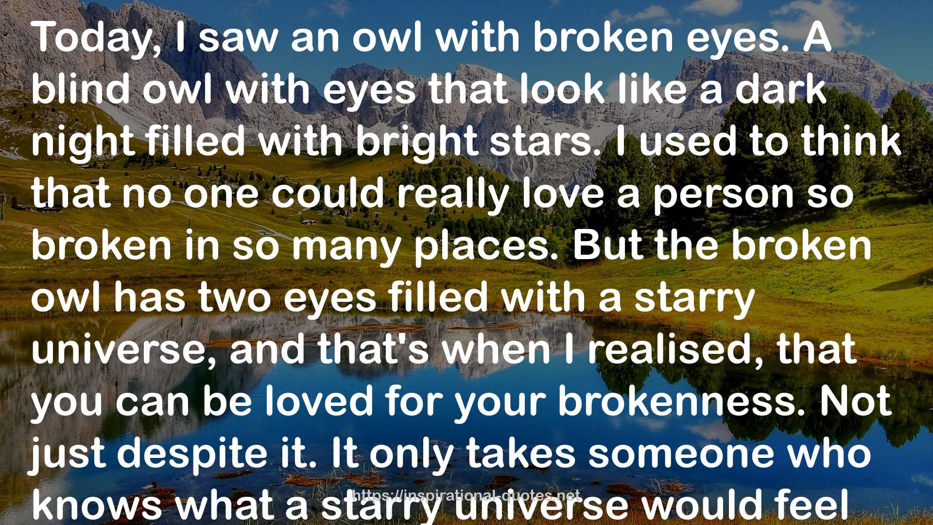 the broken owl  QUOTES