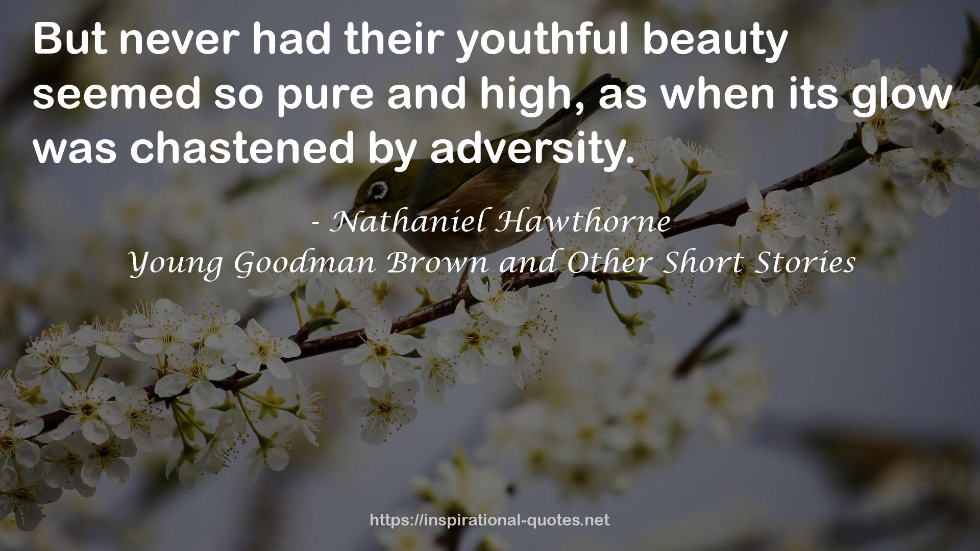 Young Goodman Brown and Other Short Stories QUOTES