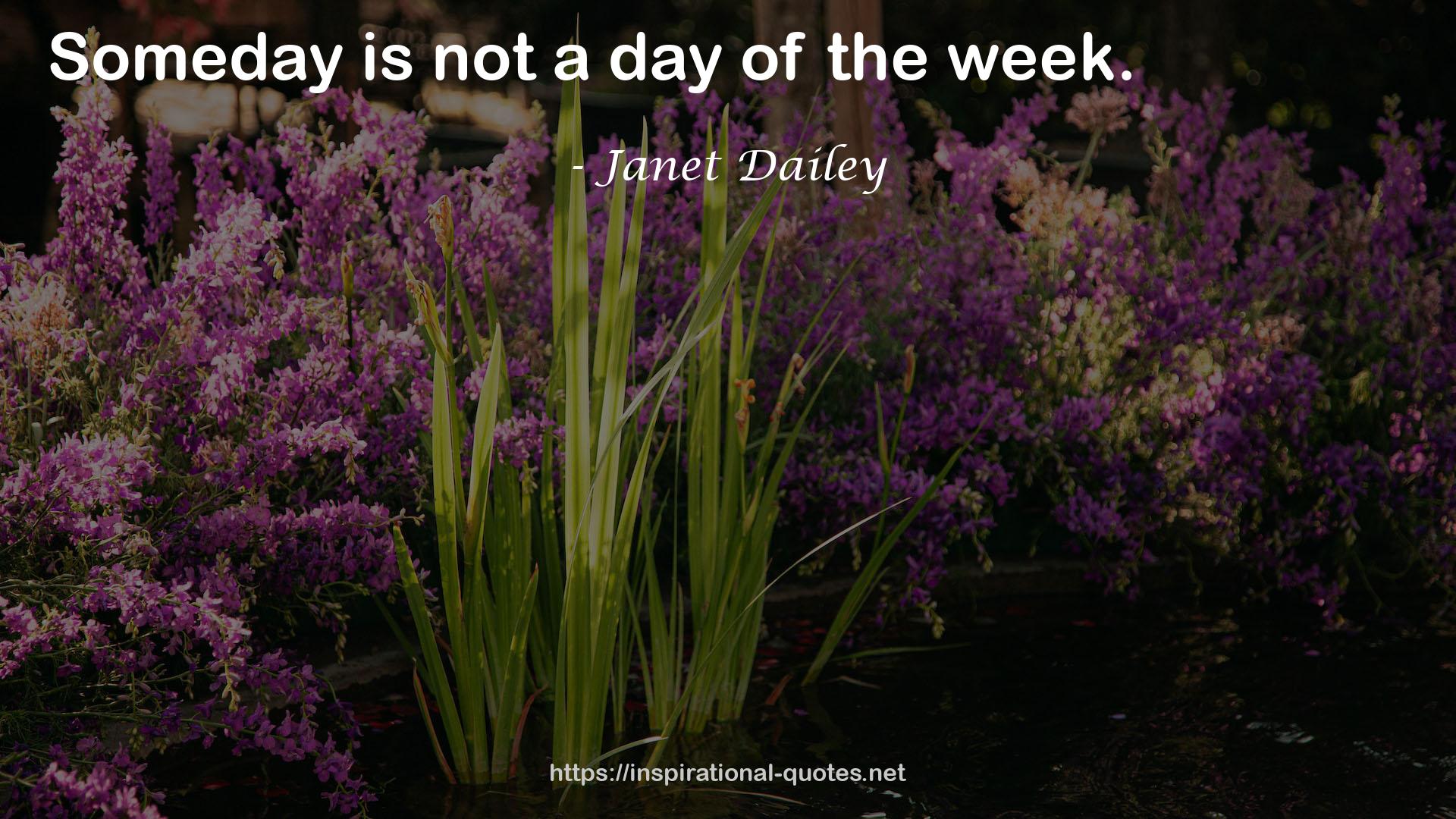 Janet Dailey QUOTES
