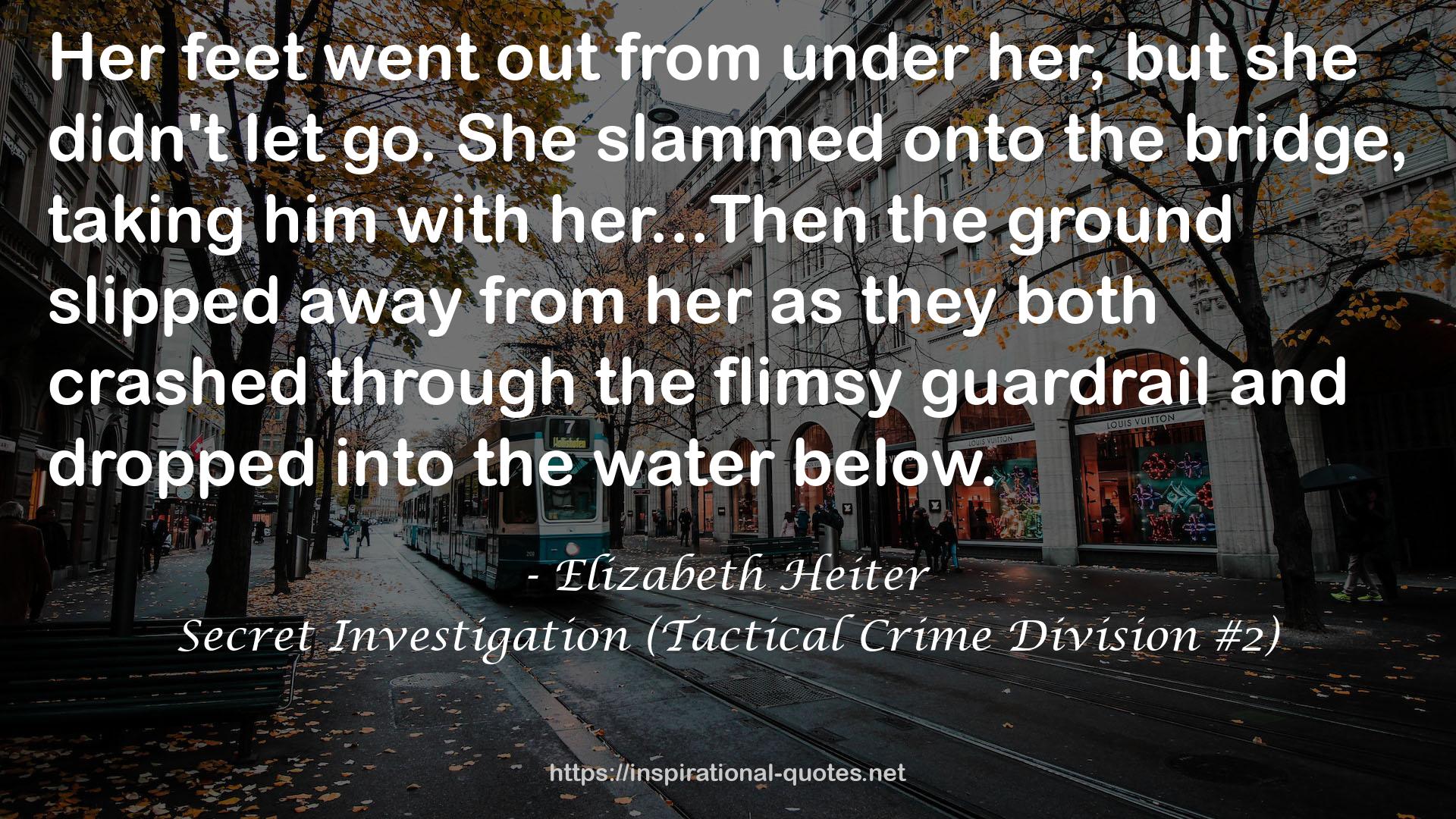 Secret Investigation (Tactical Crime Division #2) QUOTES