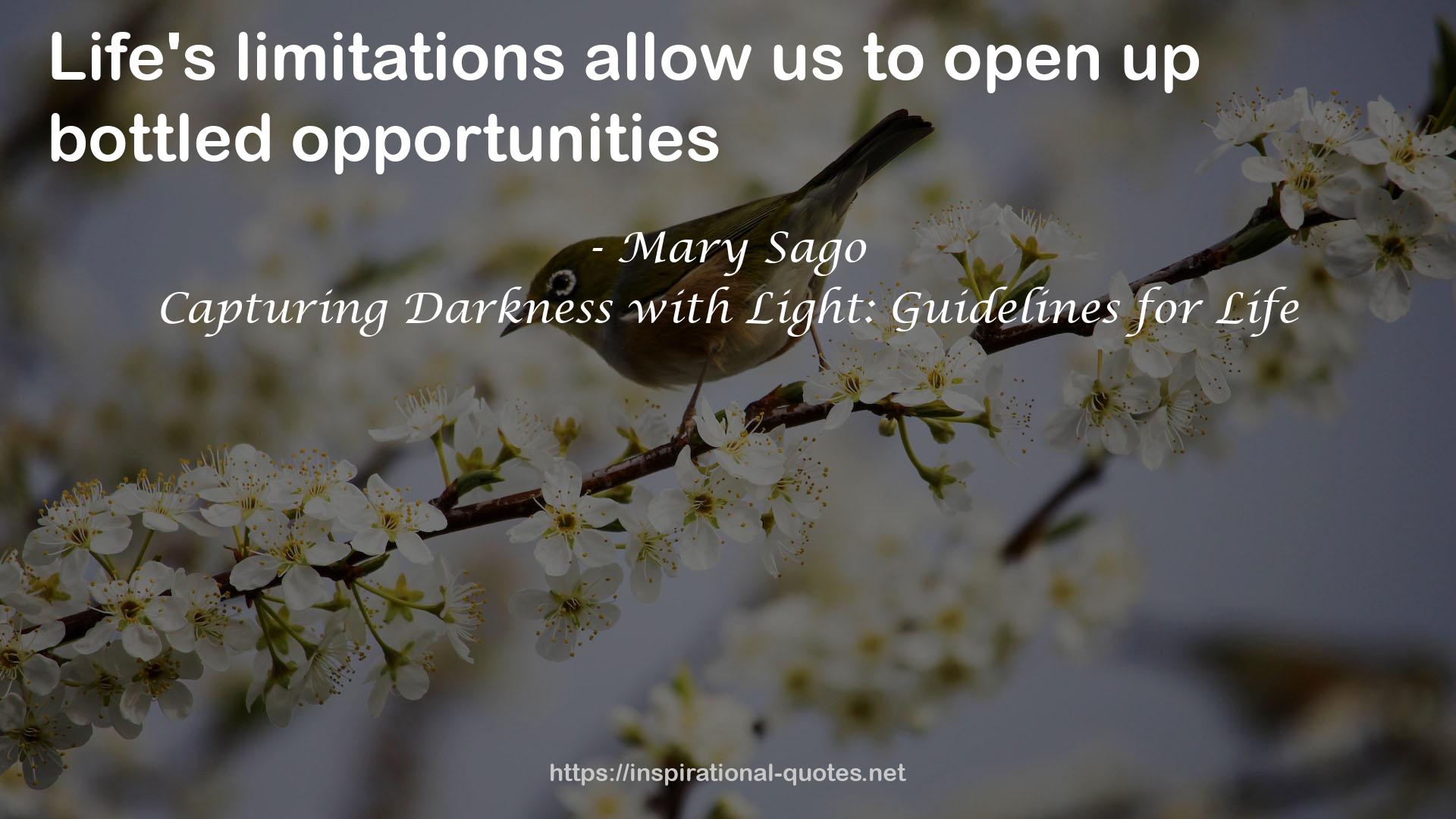 Capturing Darkness with Light: Guidelines for Life QUOTES