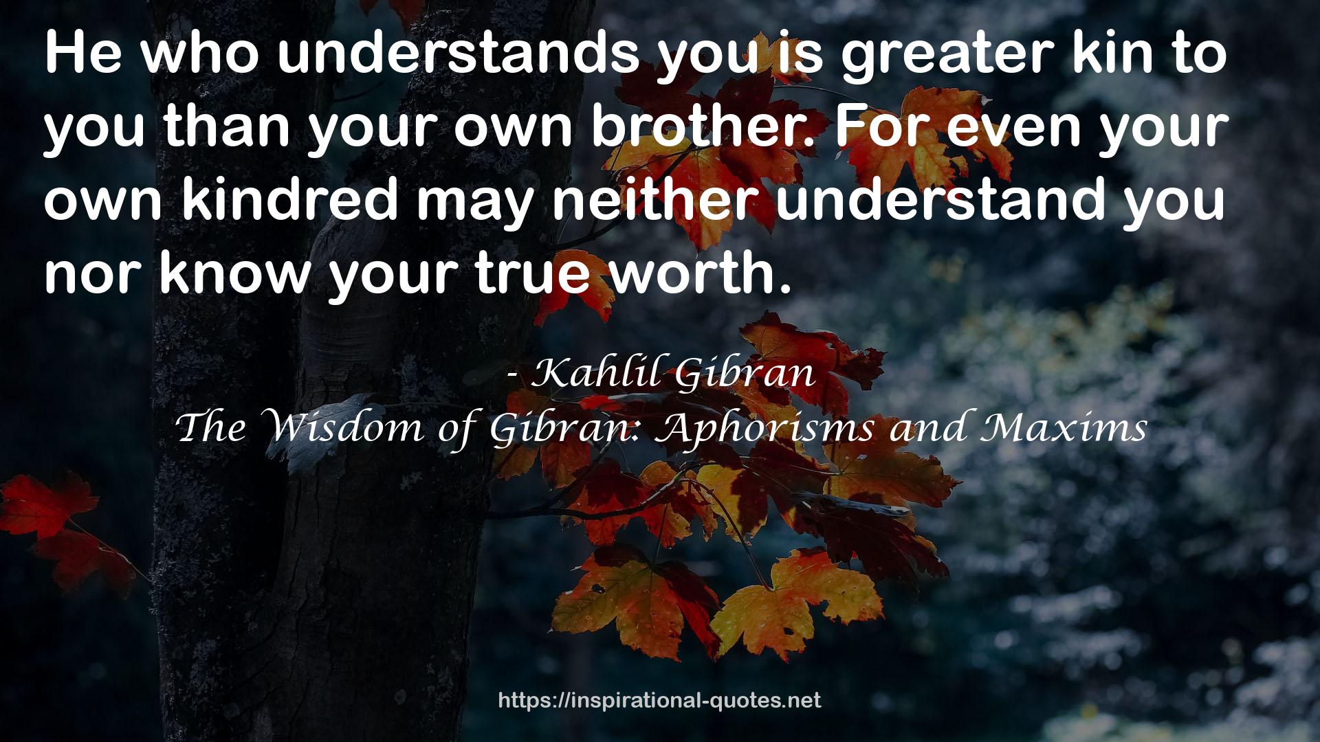 The Wisdom of Gibran: Aphorisms and Maxims QUOTES