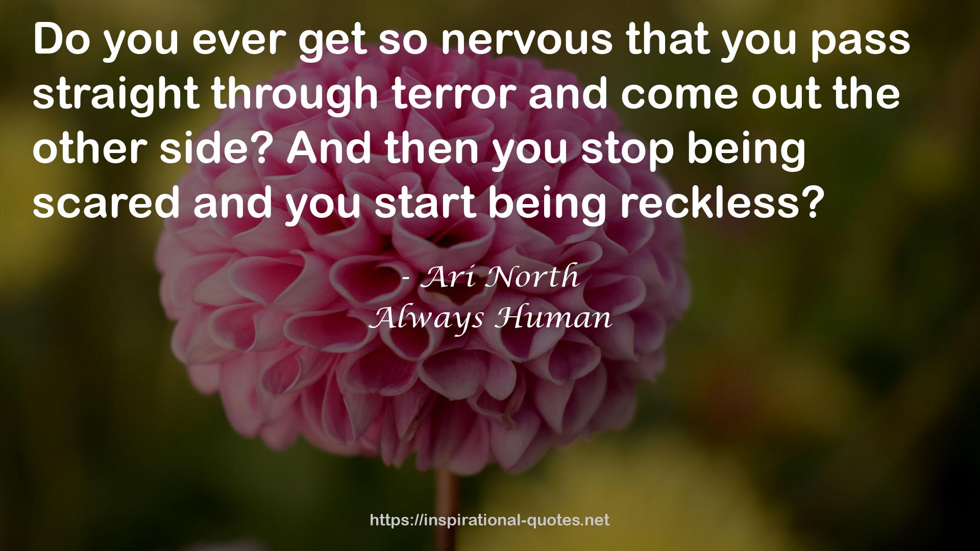 Ari North QUOTES