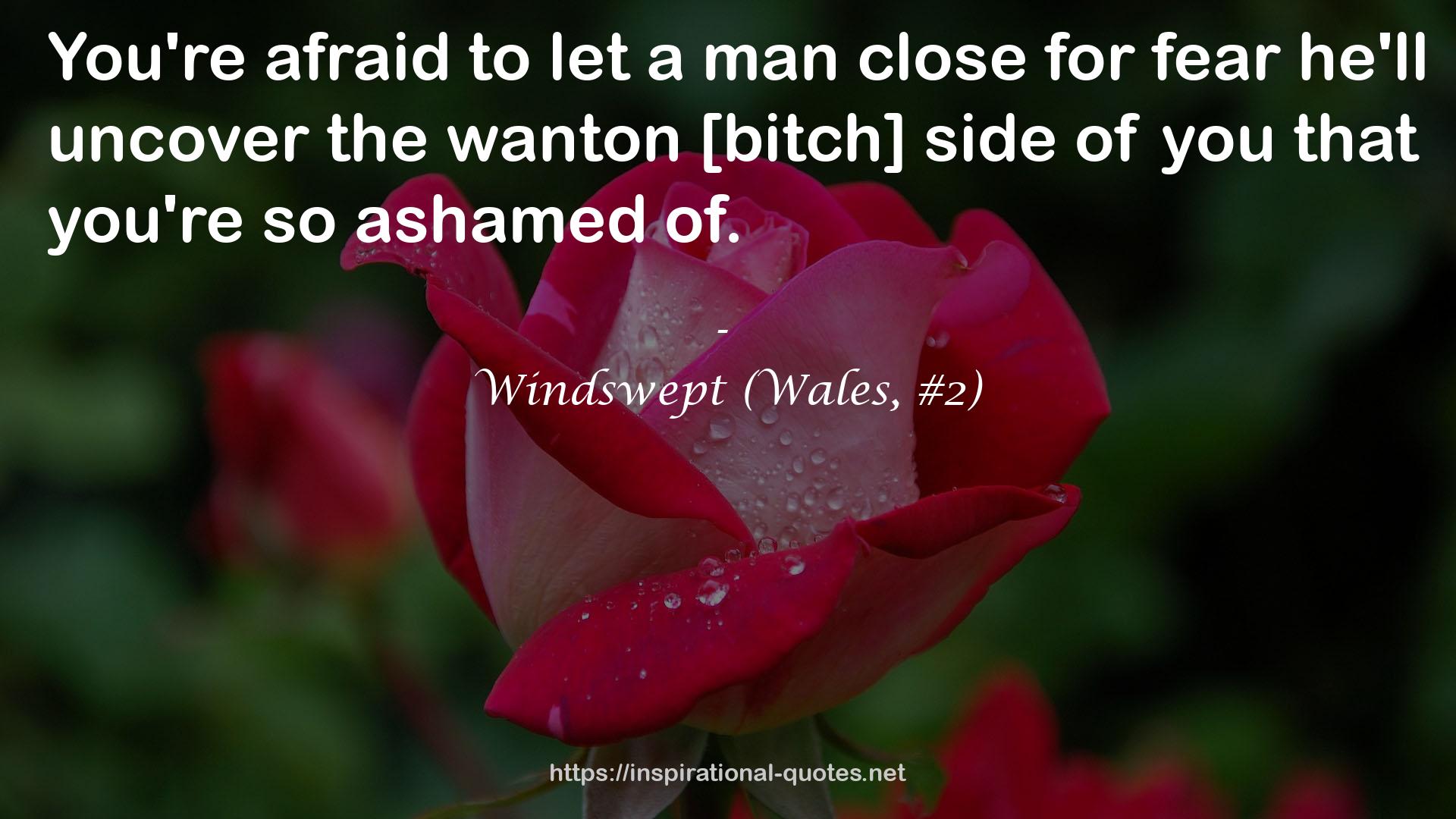 Windswept (Wales, #2) QUOTES