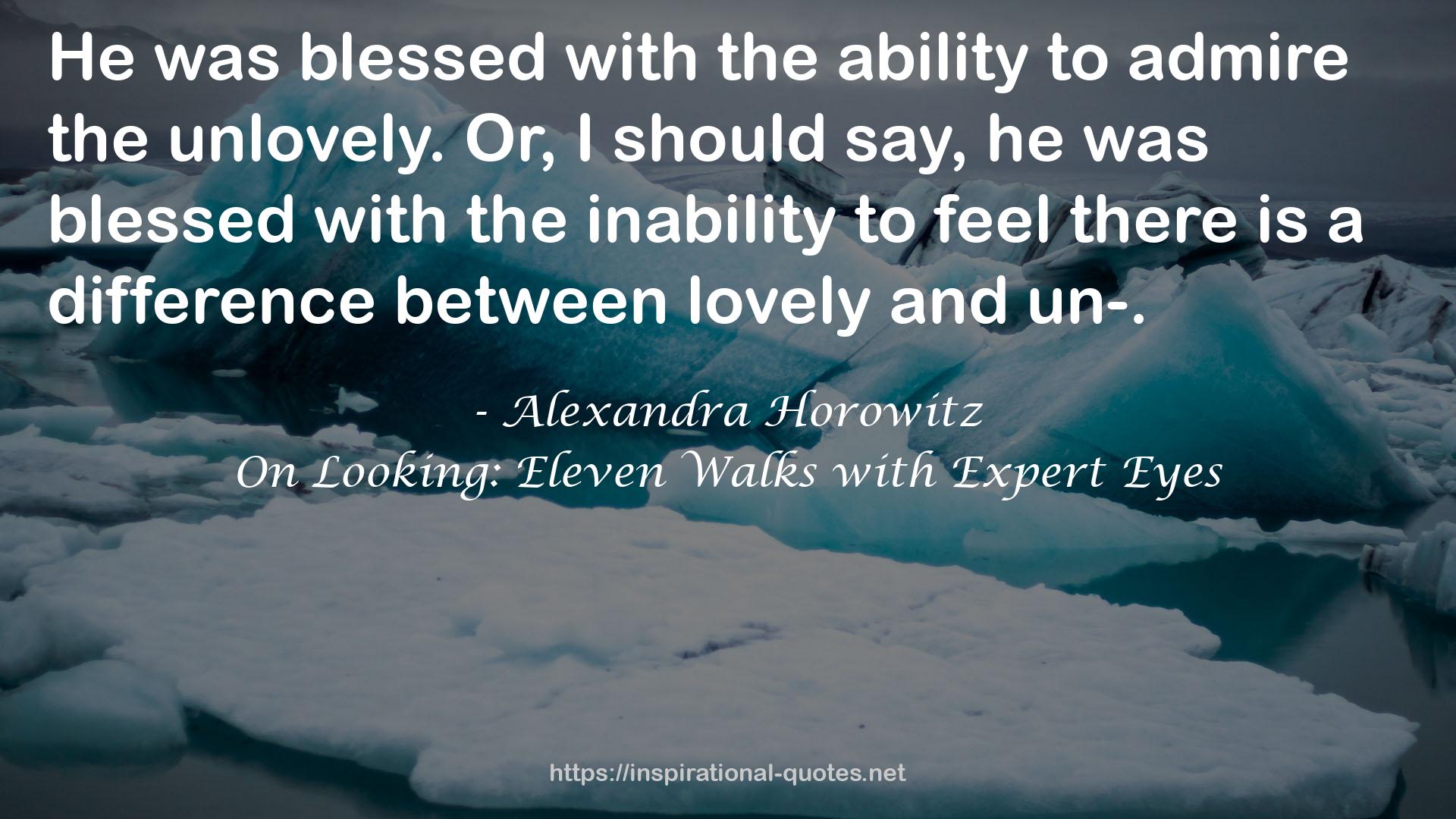 On Looking: Eleven Walks with Expert Eyes QUOTES