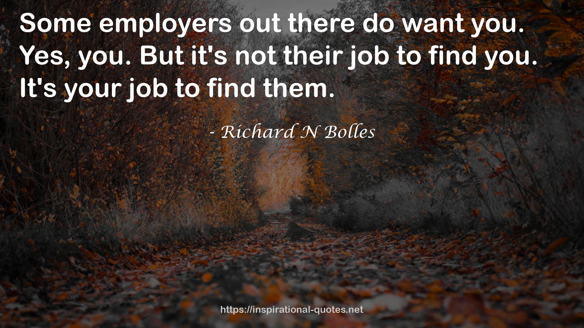 Richard N Bolles QUOTES