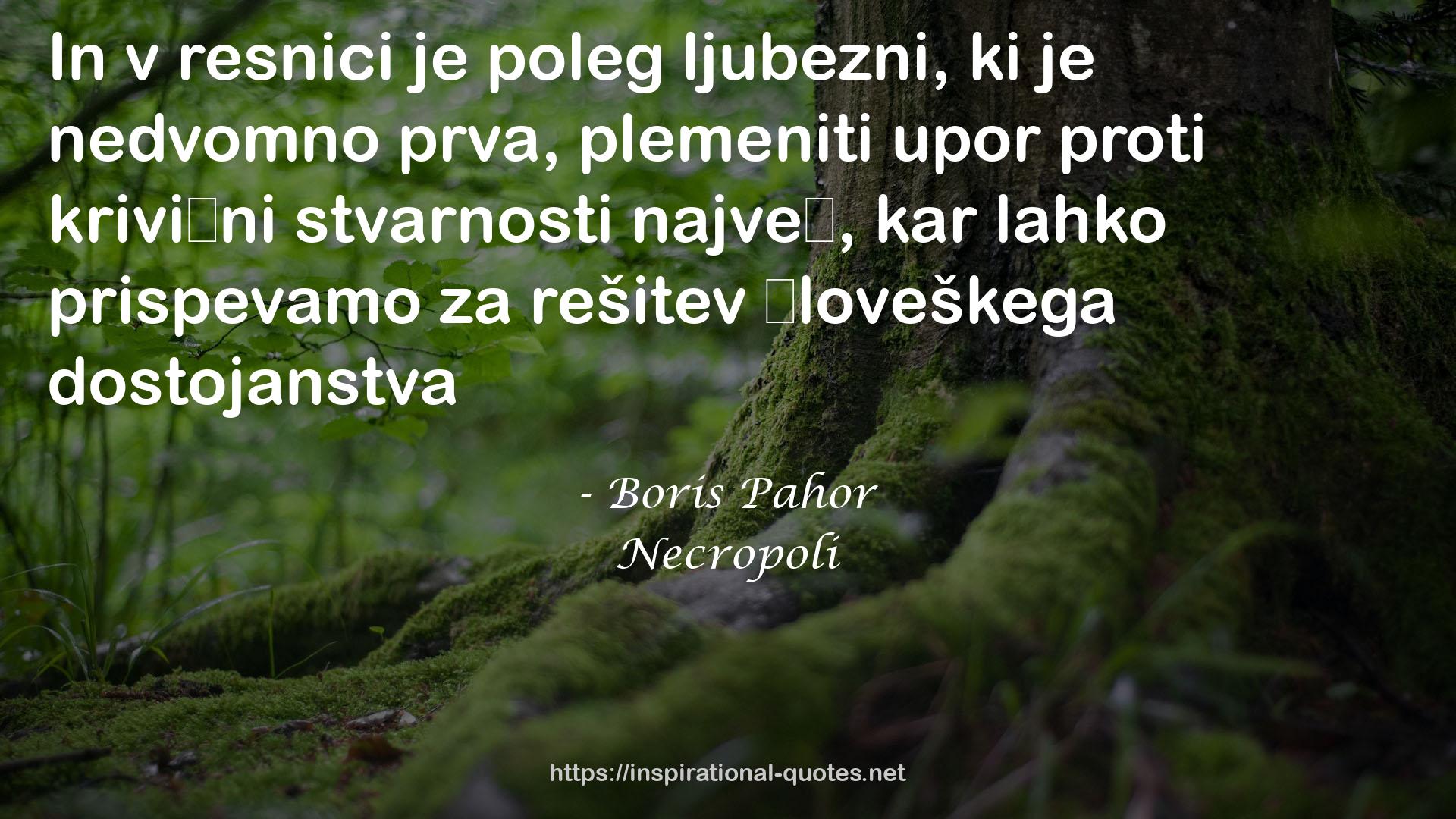 Boris Pahor QUOTES