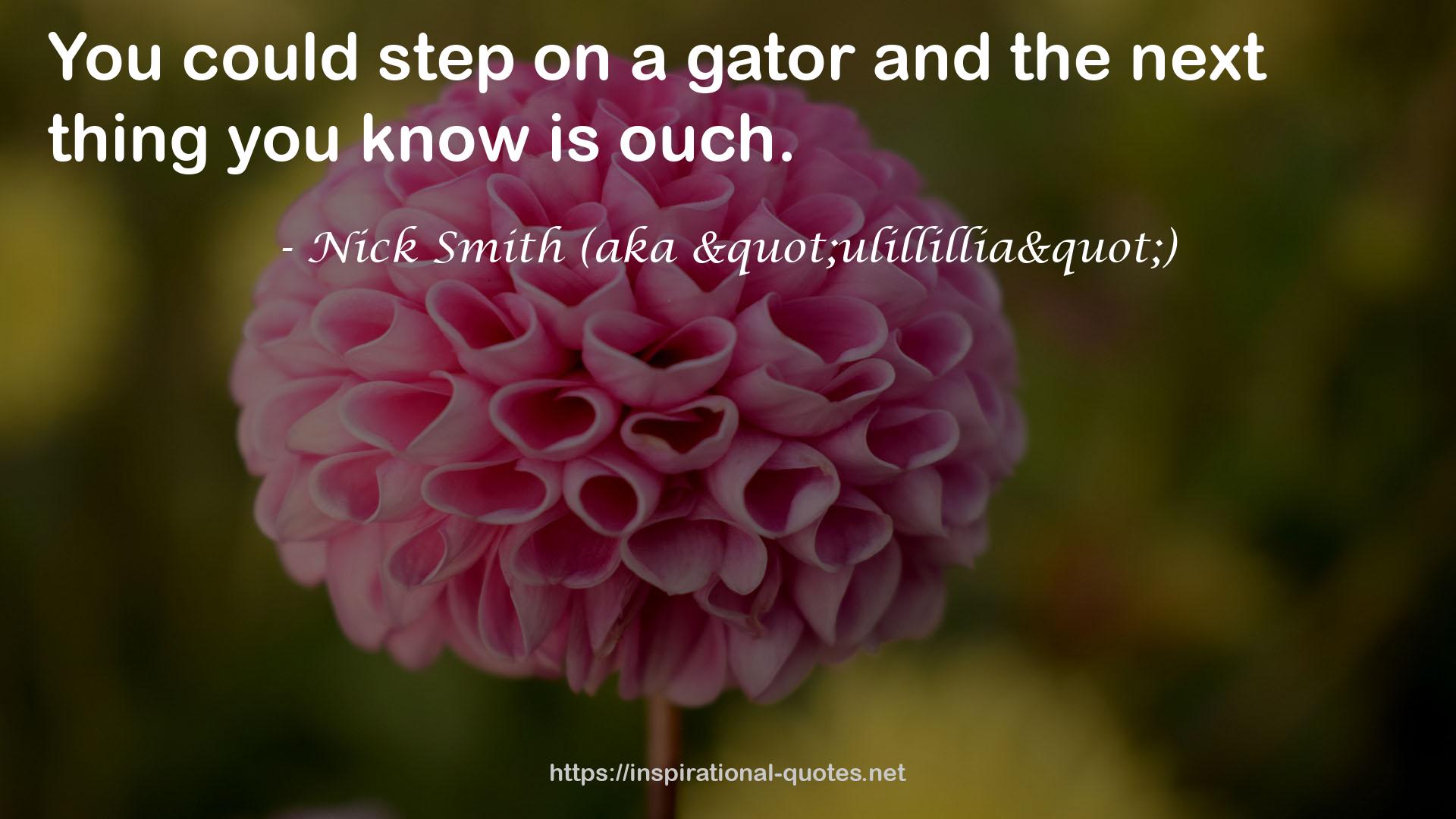 Nick Smith (aka "ulillillia") QUOTES