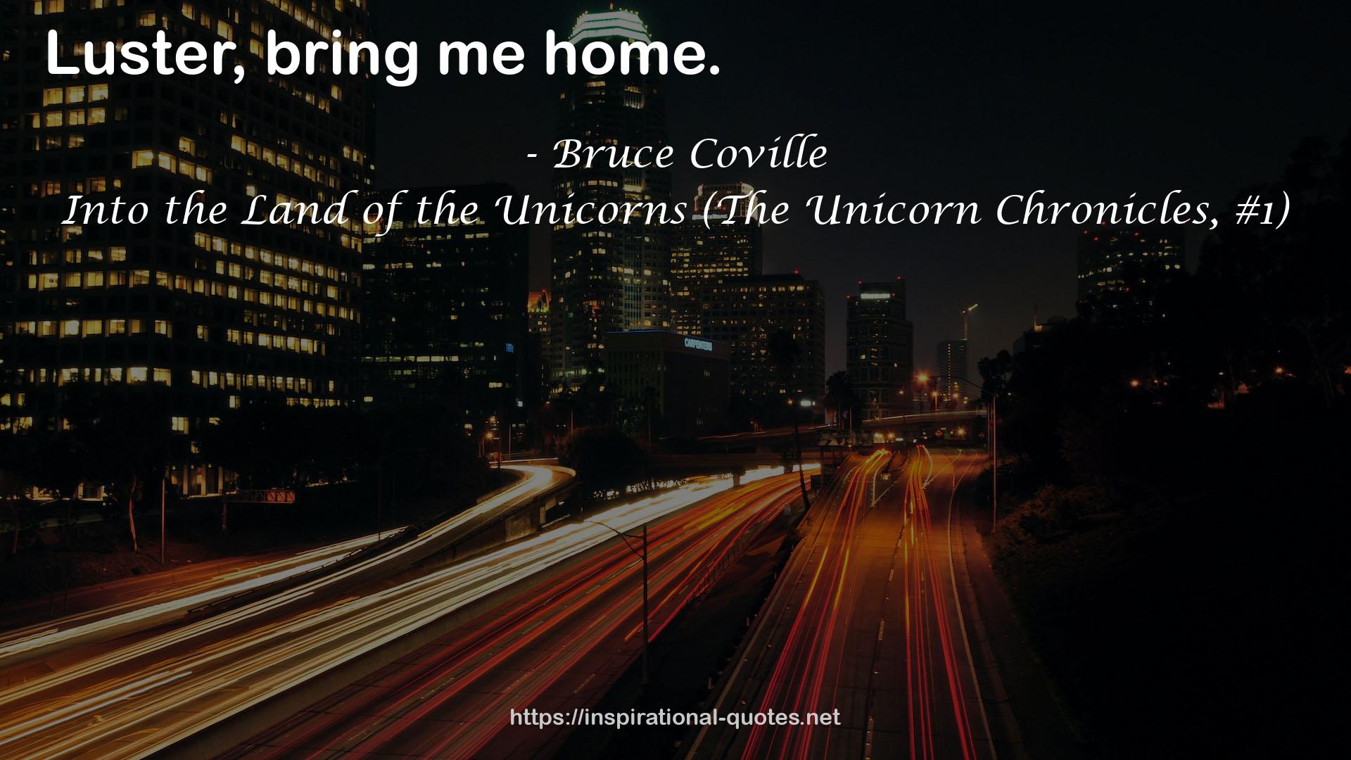 Into the Land of the Unicorns (The Unicorn Chronicles, #1) QUOTES