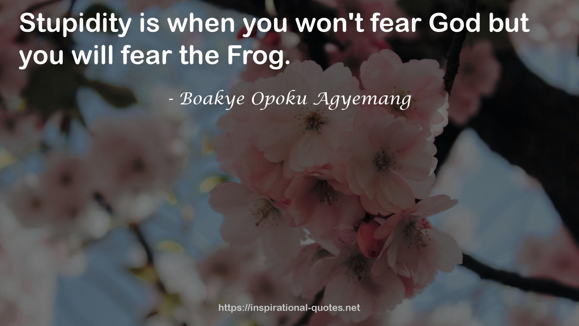 Boakye Opoku Agyemang QUOTES