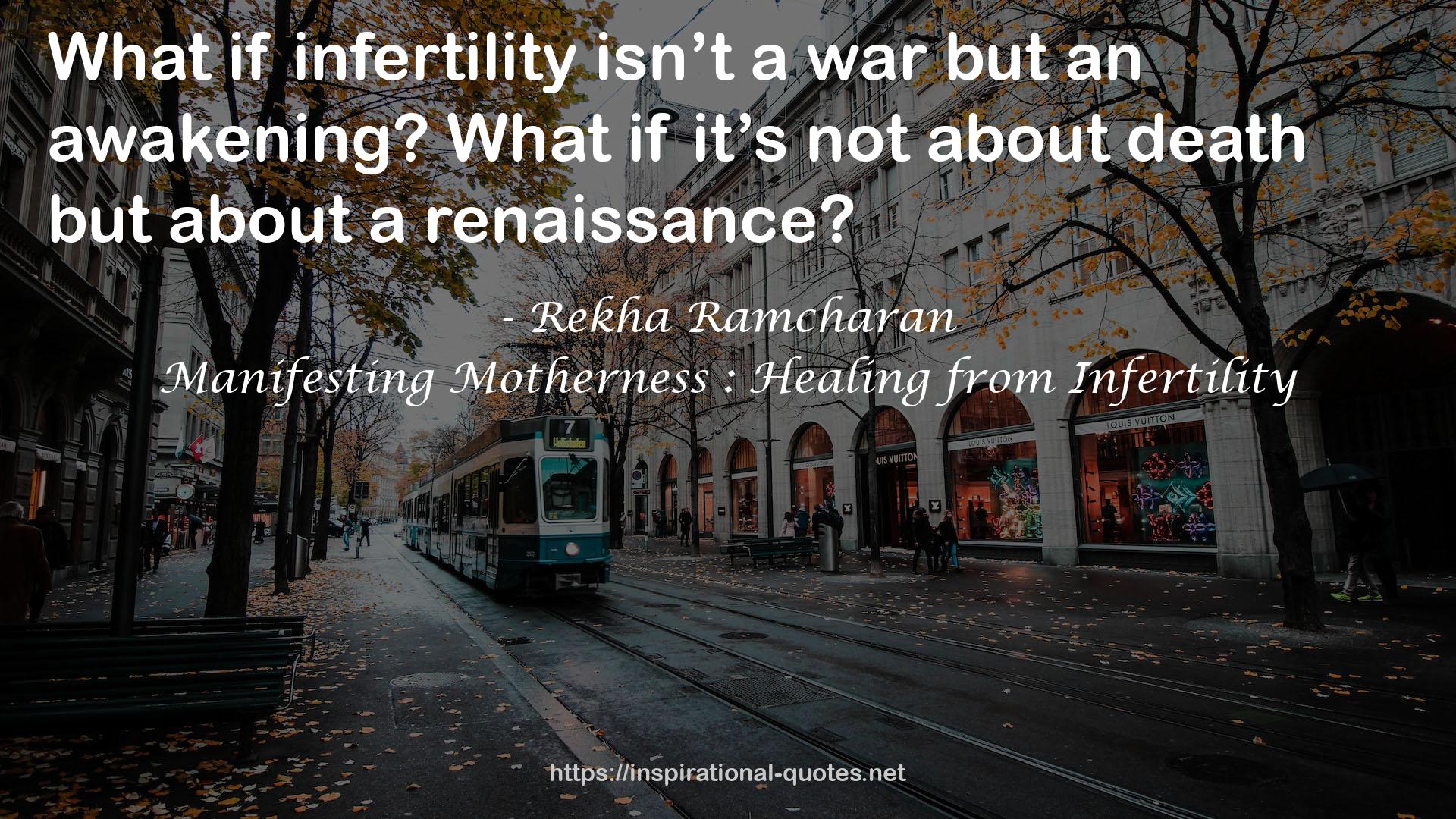 Manifesting Motherness : Healing from Infertility QUOTES