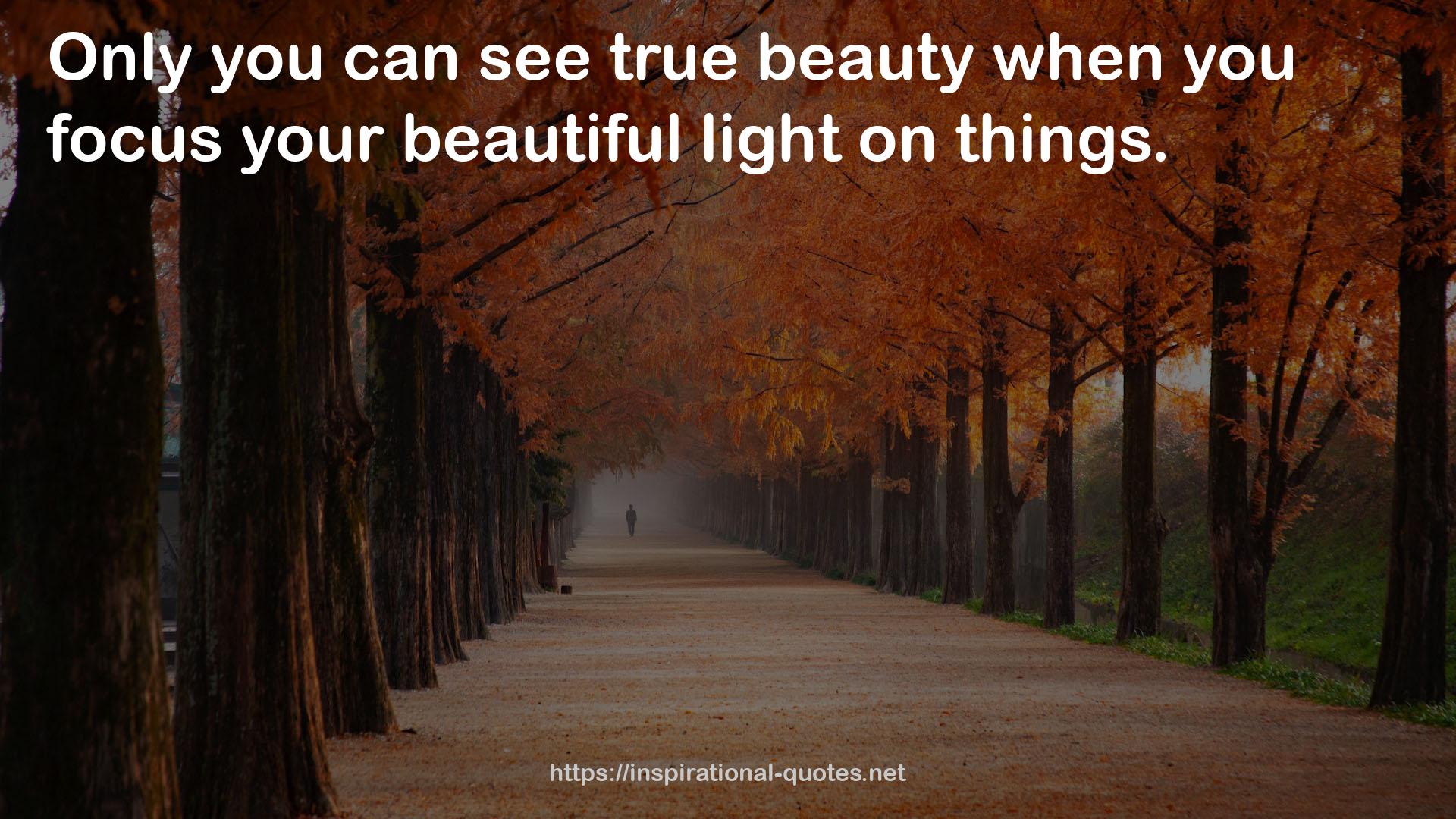 your beautiful light  QUOTES