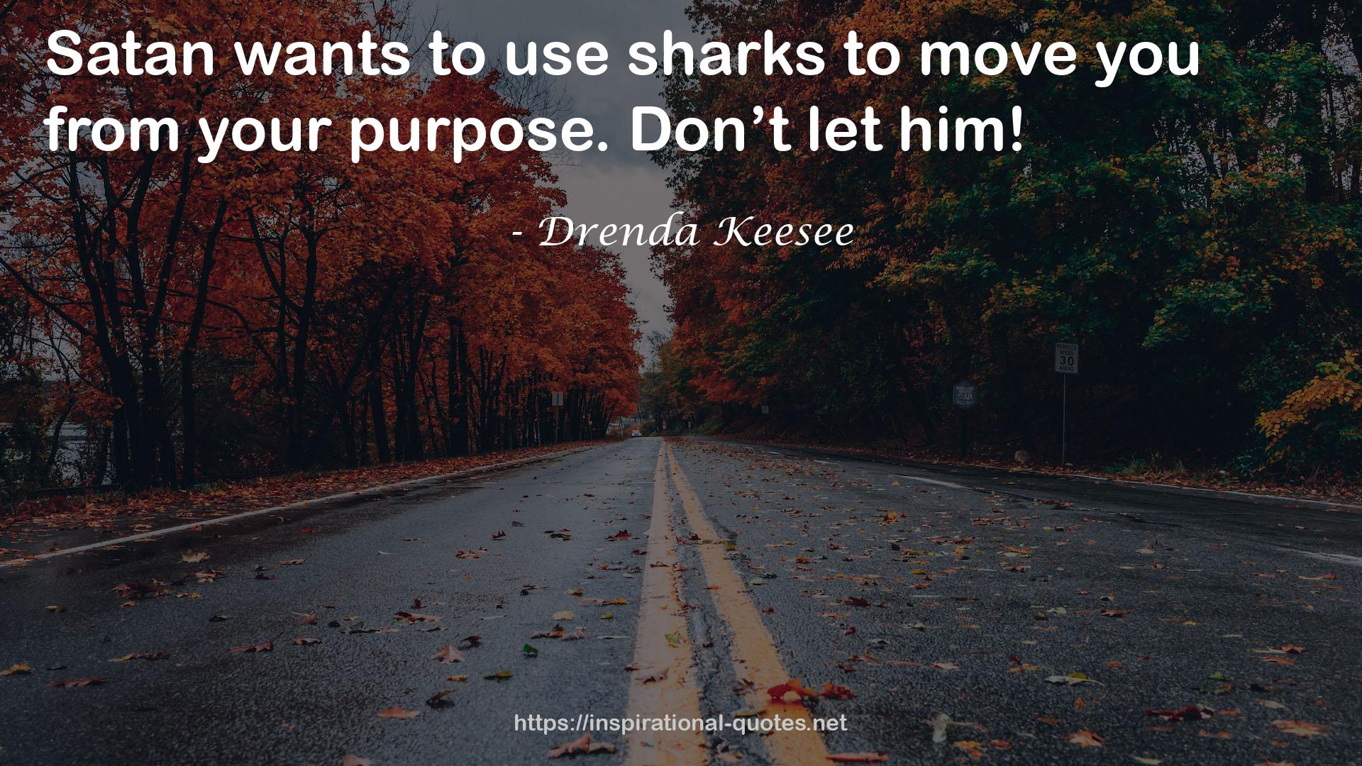 Drenda Keesee QUOTES